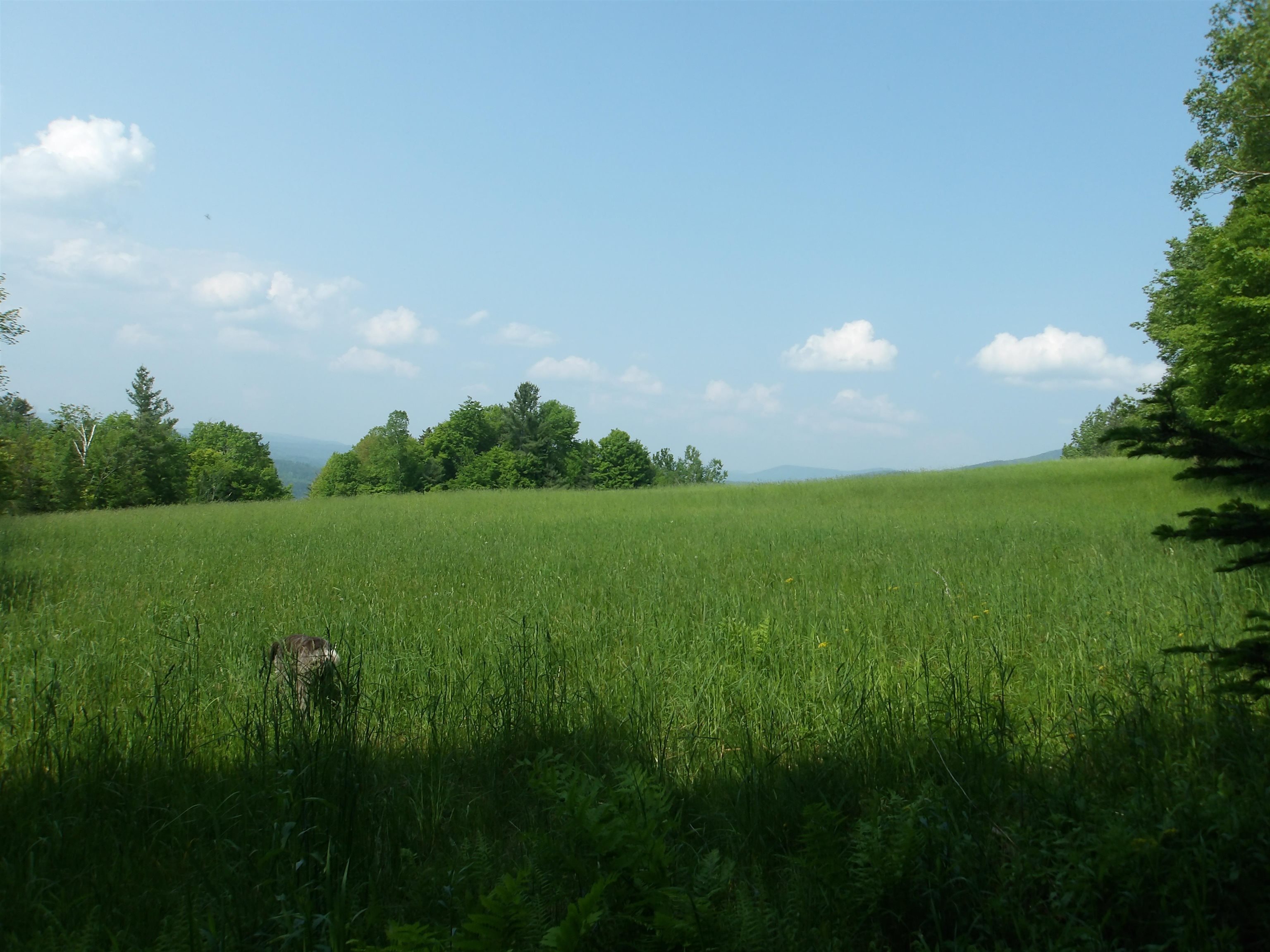 View from corner of property