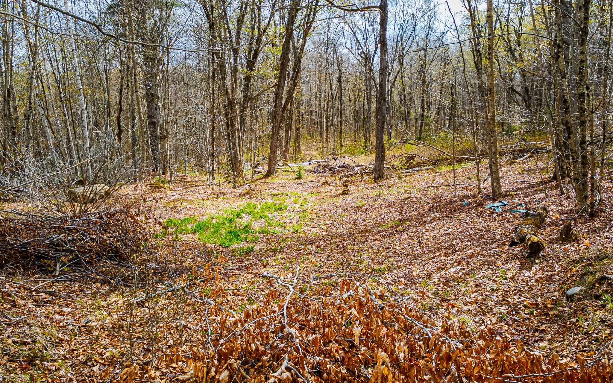 GRANTHAM NH&nbsp;Land / Acres for sale