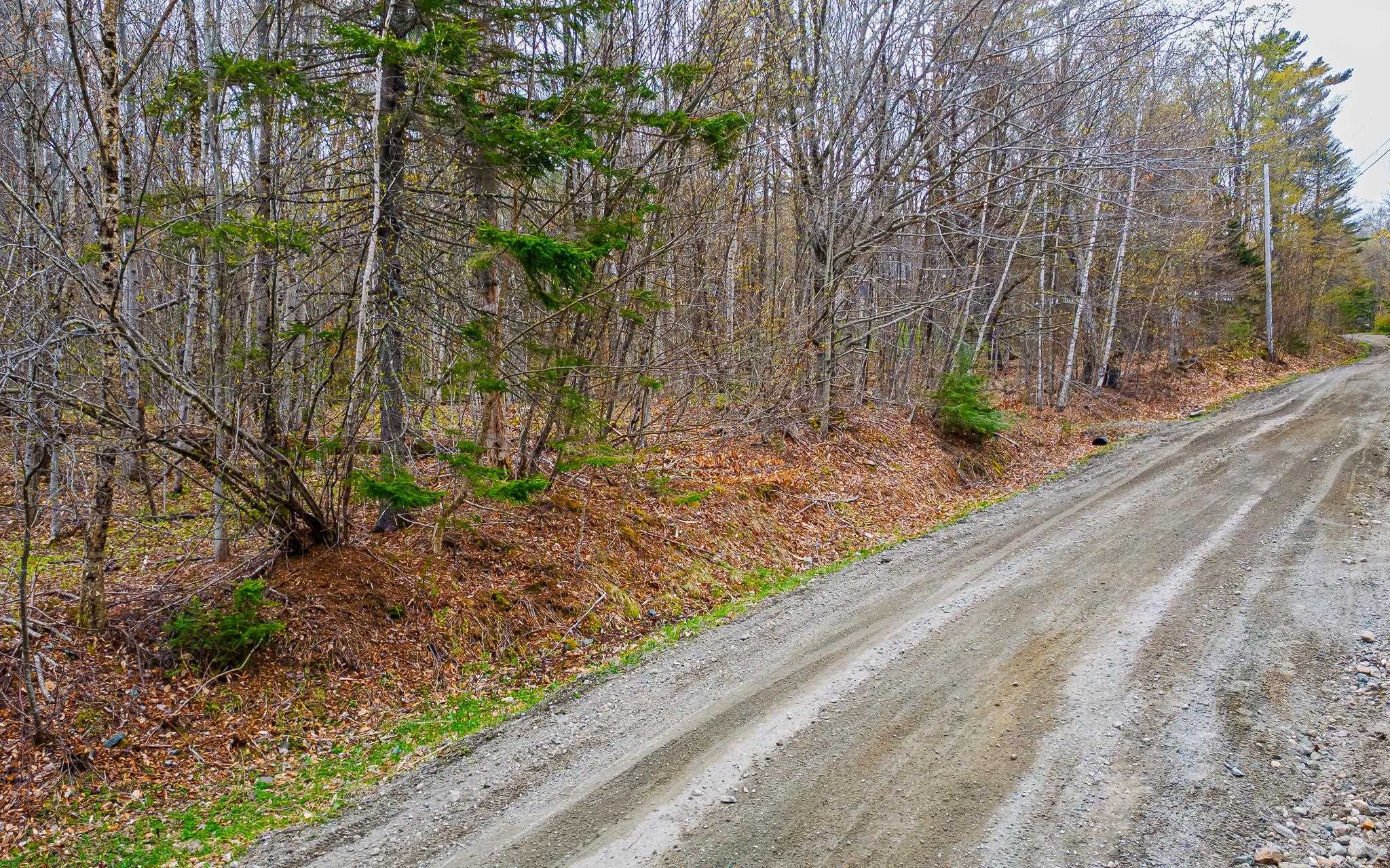 1053 Miller Pond Rd, Grantham, NH 03753