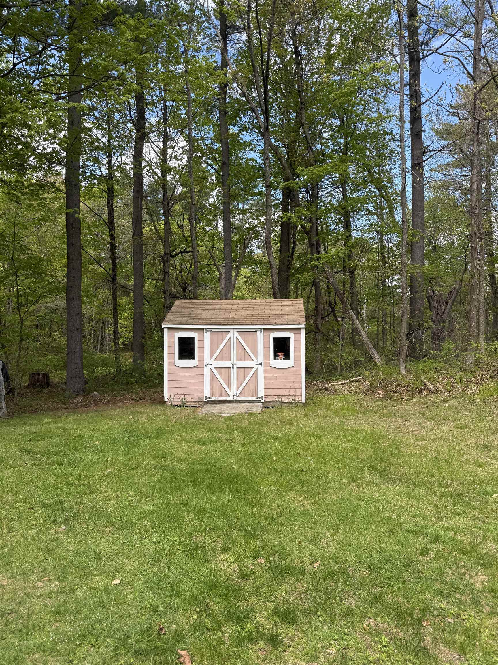 Photo 8 of 27