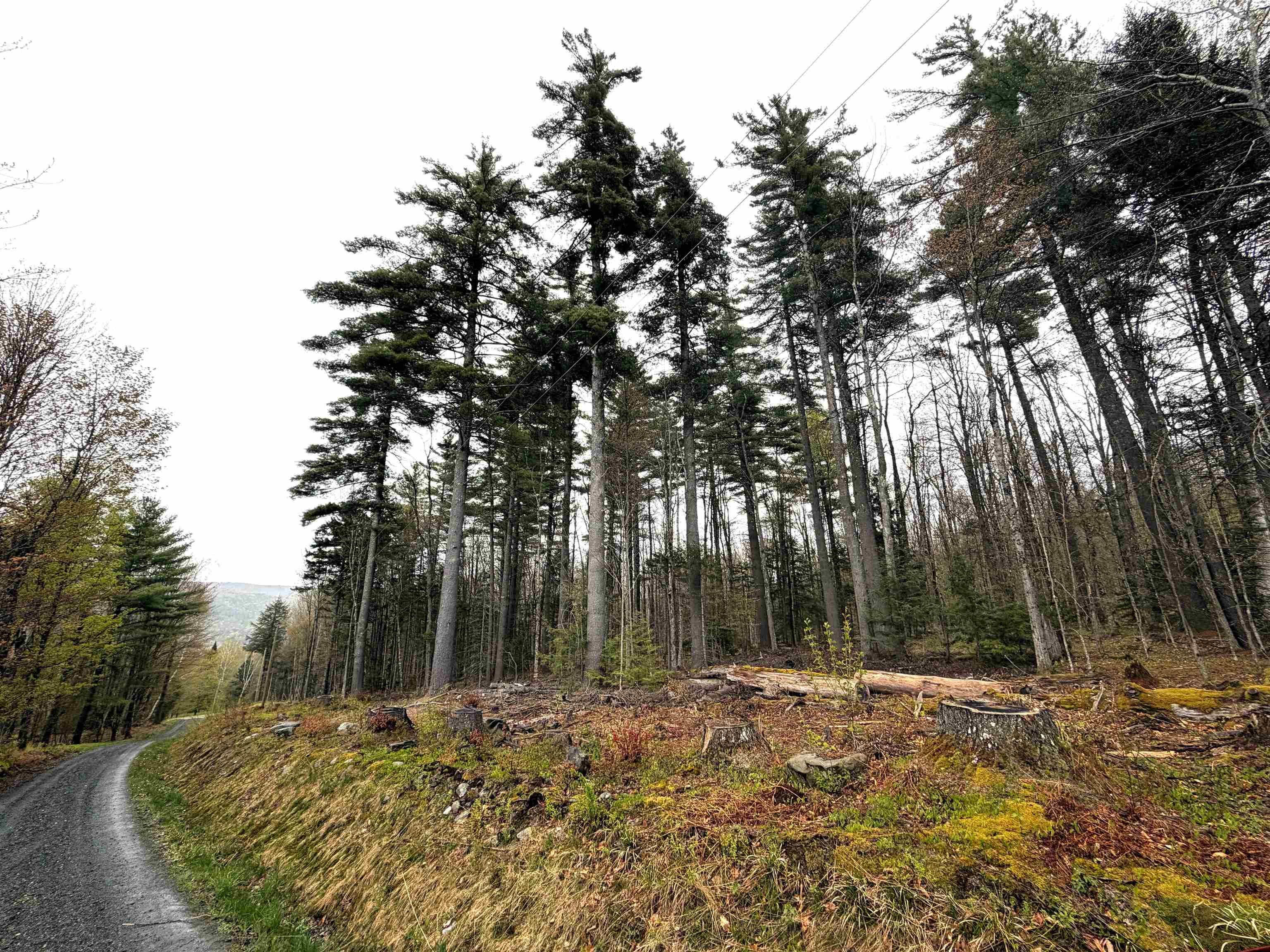Fayston VT&nbsp;Land for sale $70,000 | 0.75 Acres  | Price Per Acre $0 