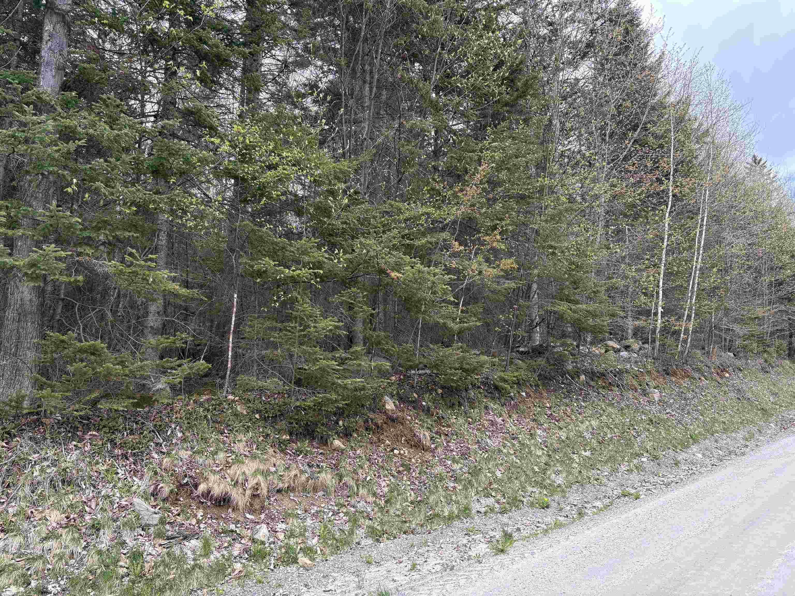 Andover VT&nbsp;Land for sale $225,000 | 27.2 Acres  | Price Per Acre $0 