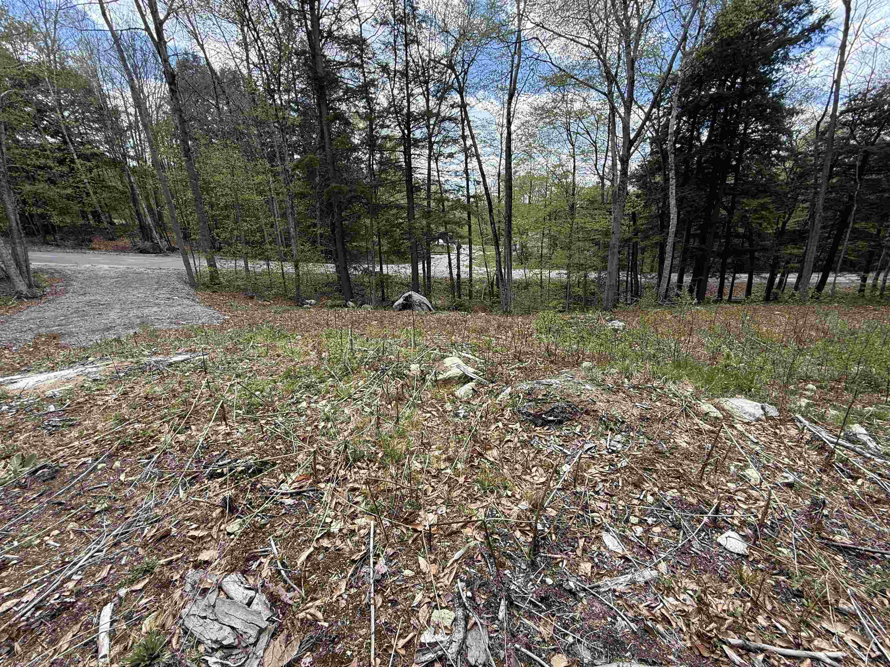 104 Ramblewood Cir, Newbury, NH 03255