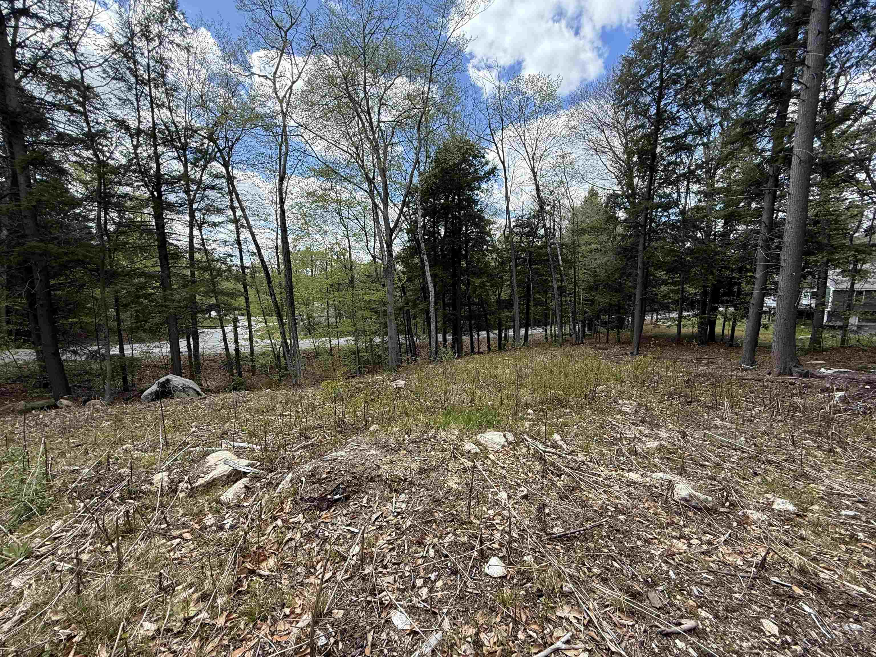 104 Ramblewood Cir, Newbury, NH 03255