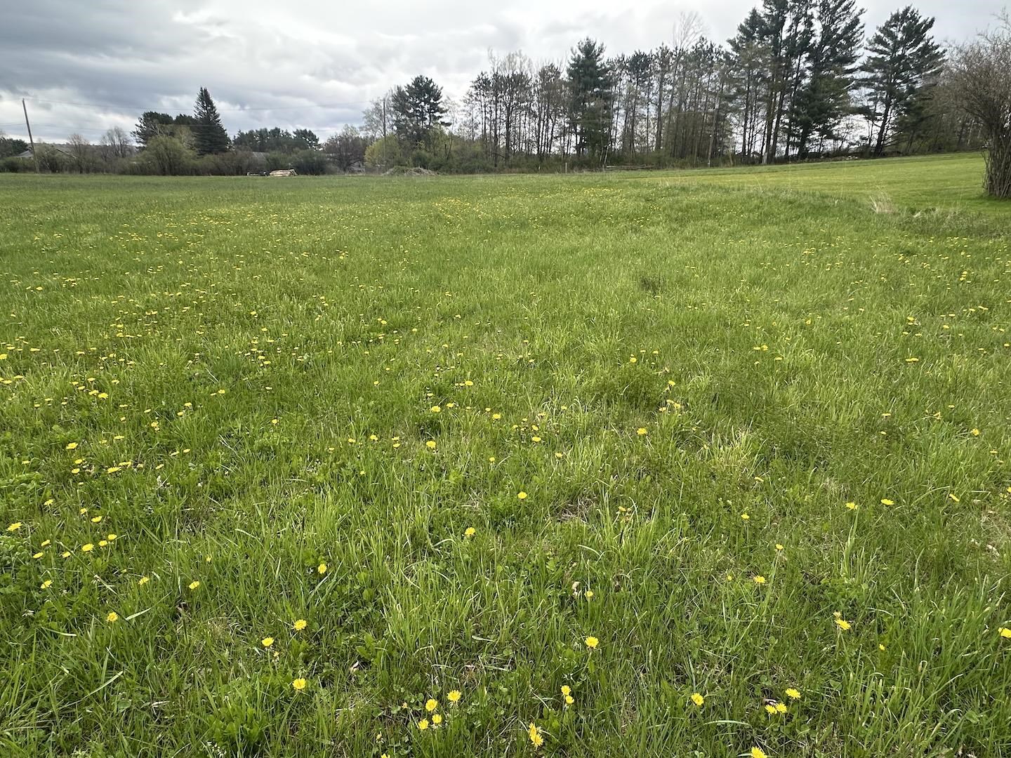 0 Brushwood Rd, Haverhill, NH 03765