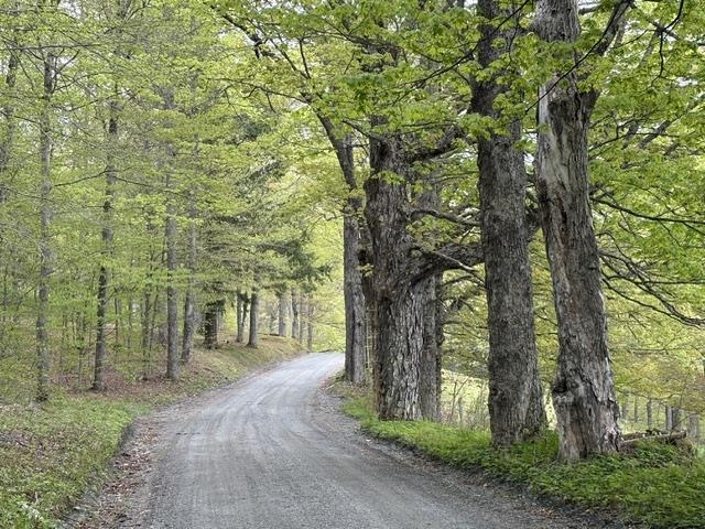 The approach to the property