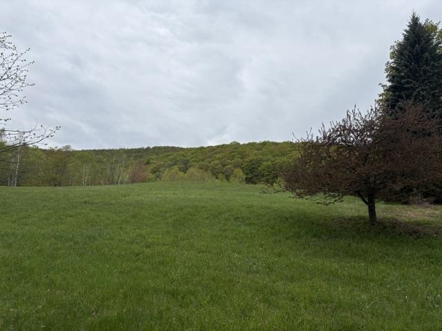  25253023