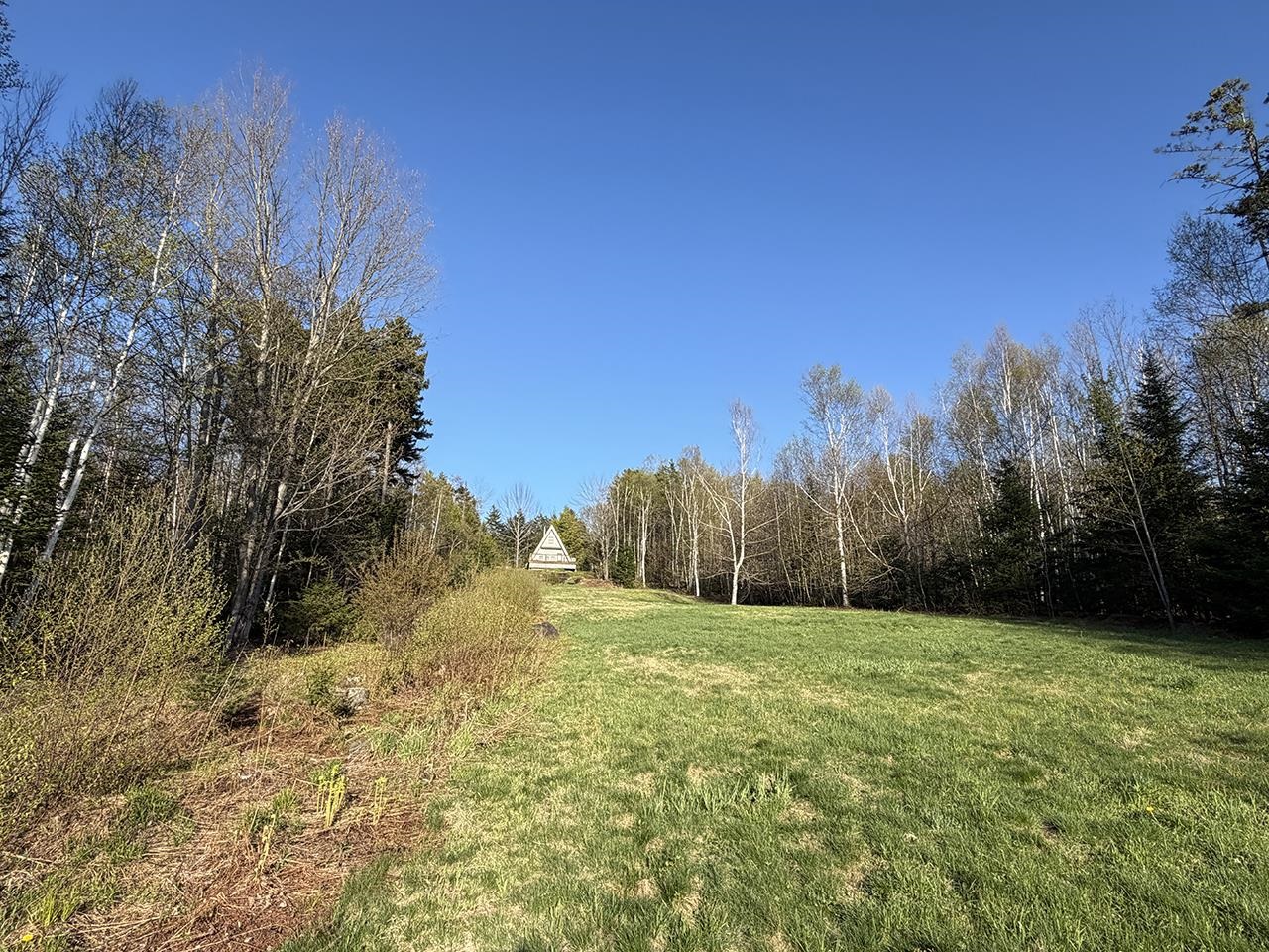 Abutting Cleared Lot