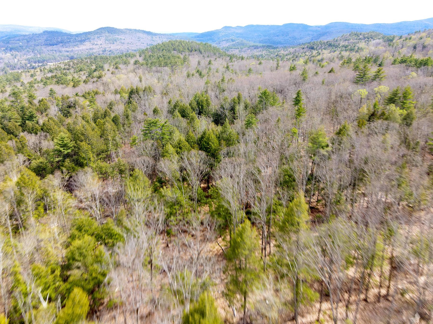 TM 413 L 99 King Rd, Alexandria, NH 03222