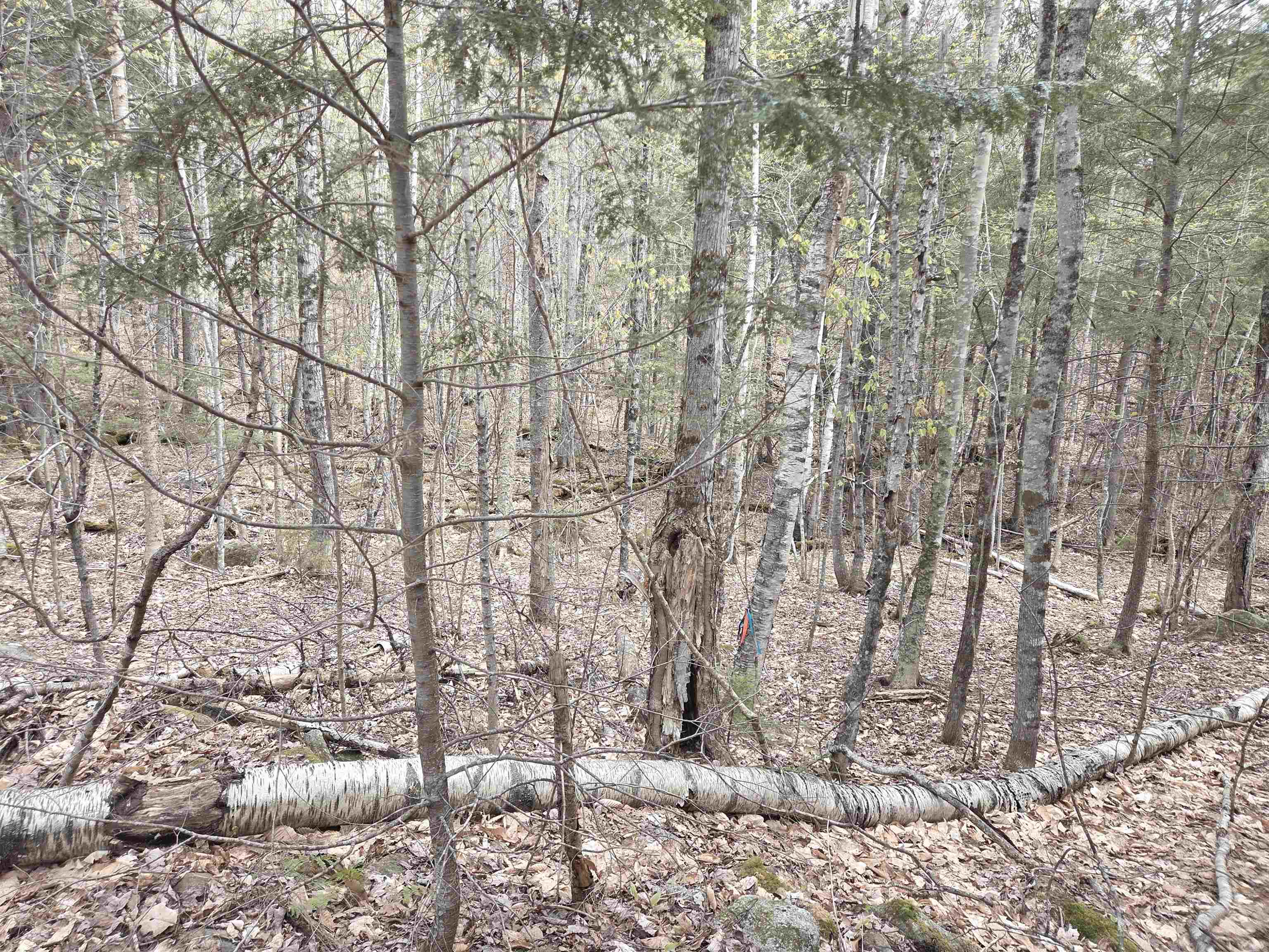 Lot 18 Fondue Ave, Thornton, NH 03285