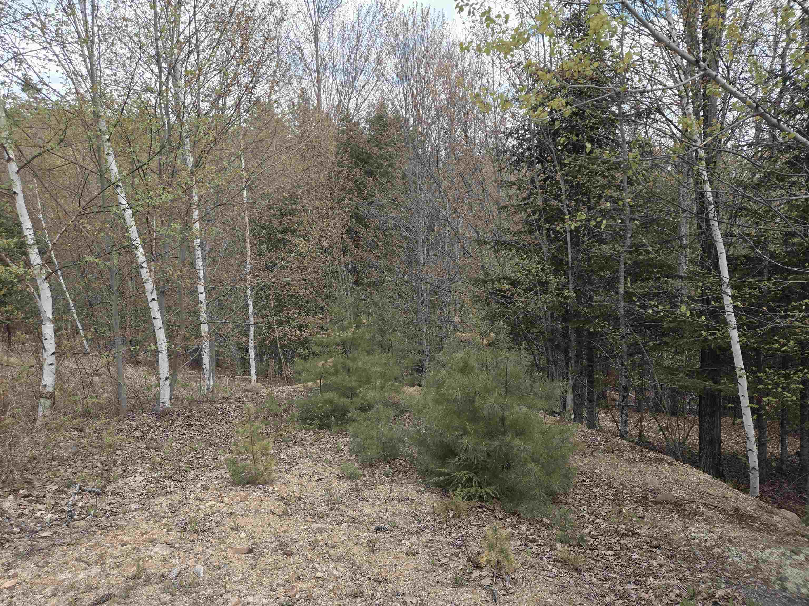 Lot 18 Fondue Ave, Thornton, NH 03285