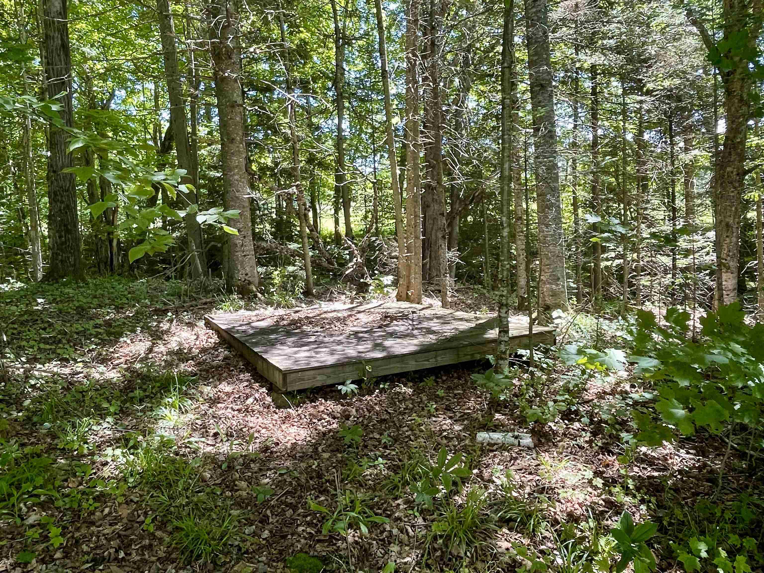 Property photo 37