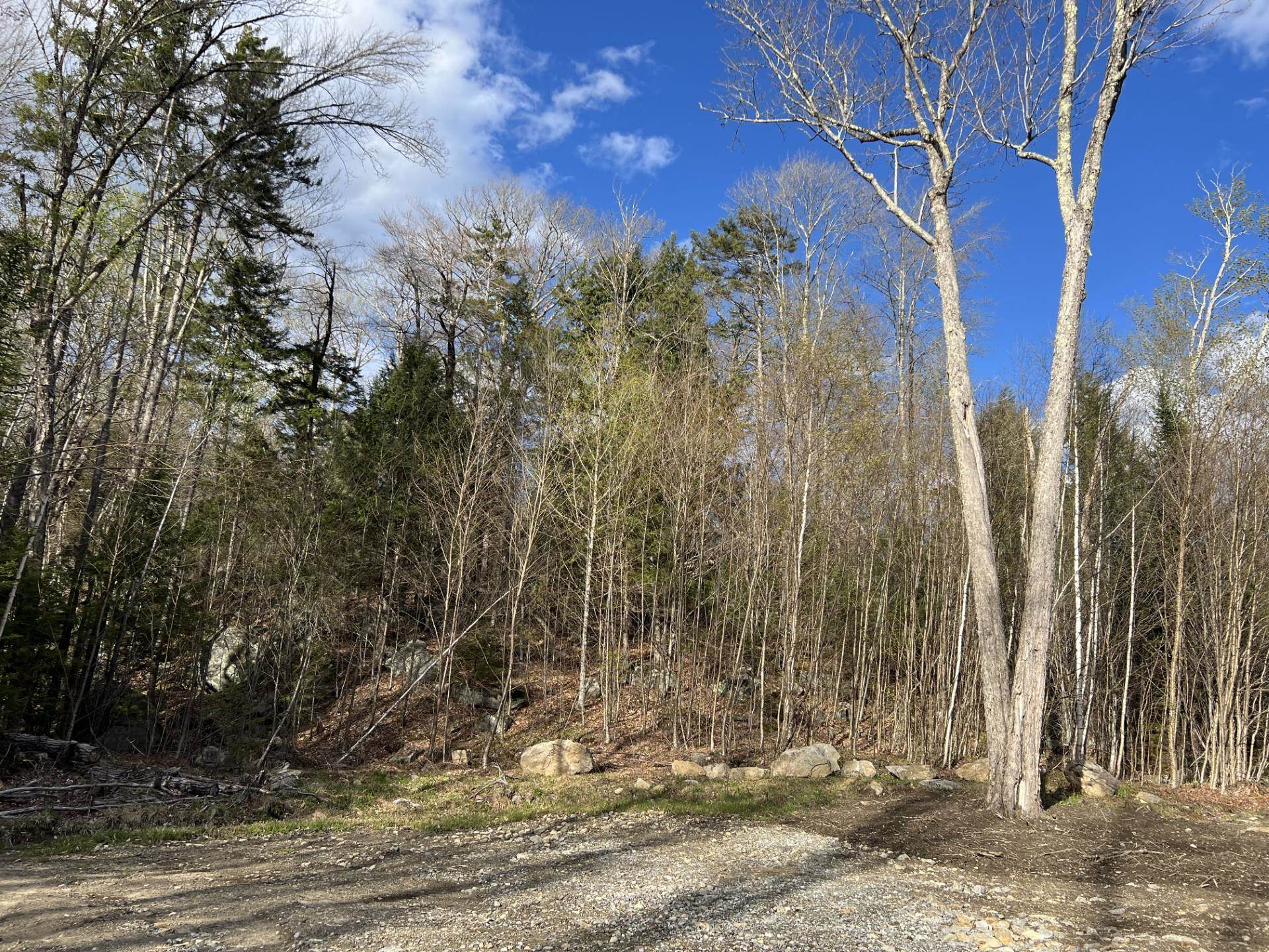 244 Rowentown Rd, Wentworth, NH 03282