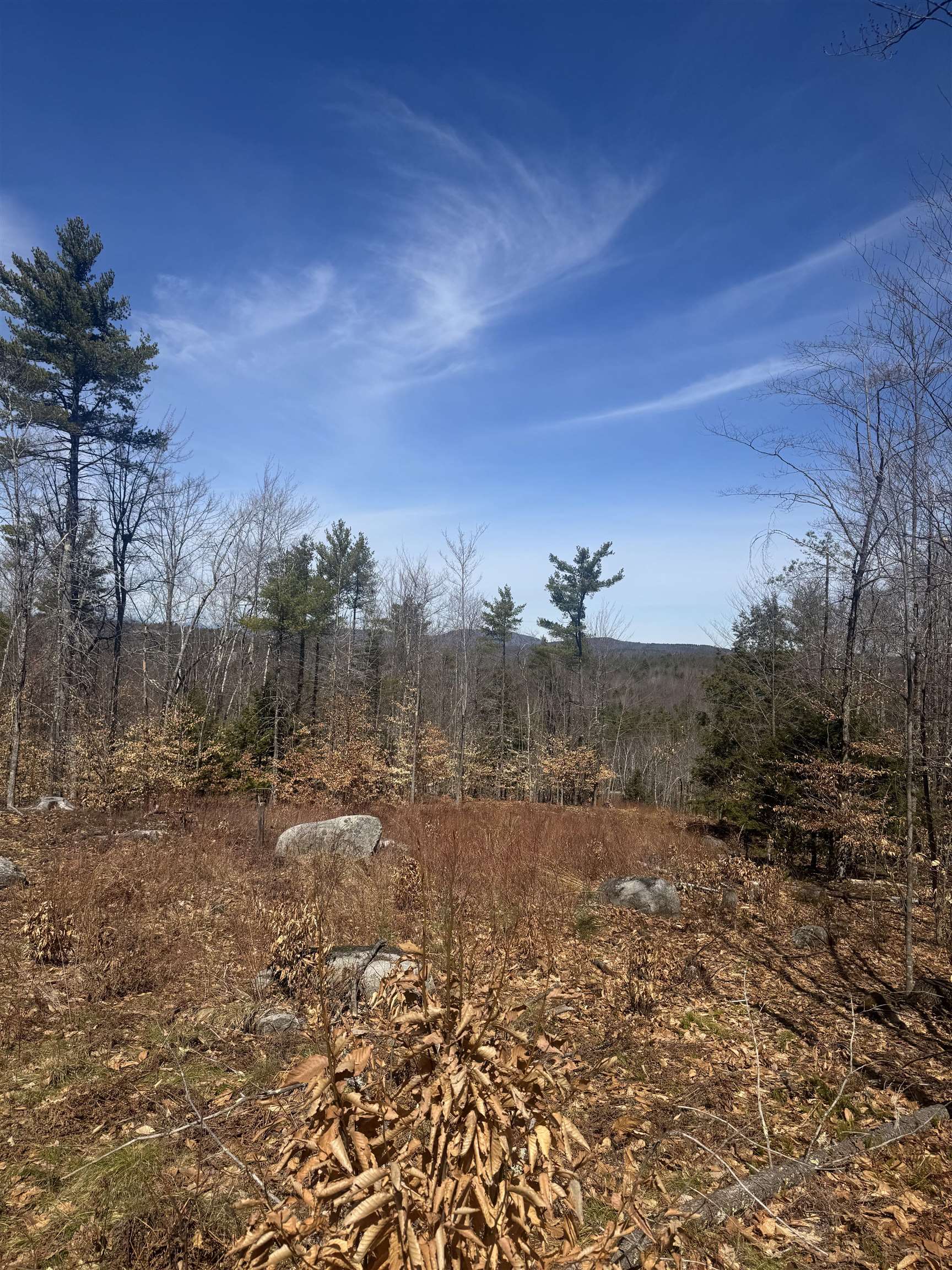 8 Wakefield North Rd, Wolfeboro, NH 03894