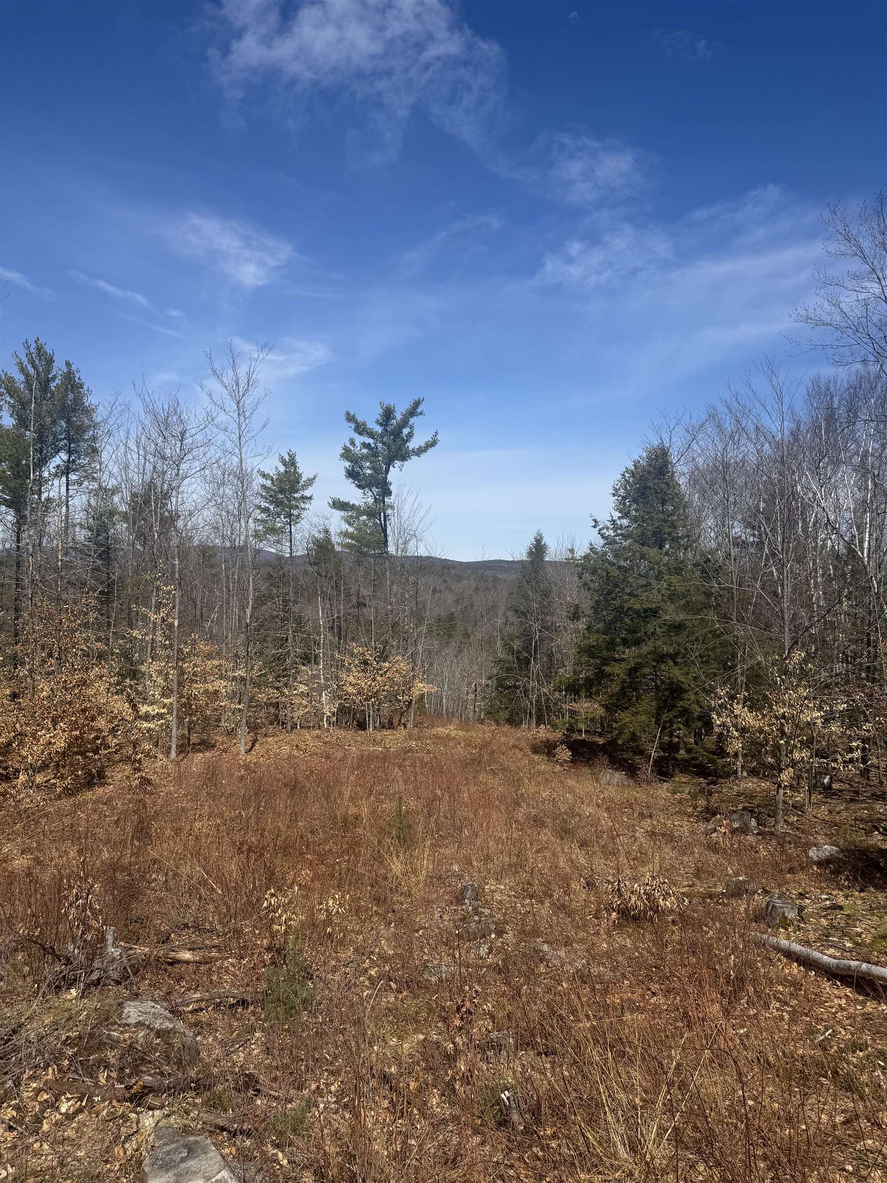 8 Wakefield North Rd, Wolfeboro, NH 03894