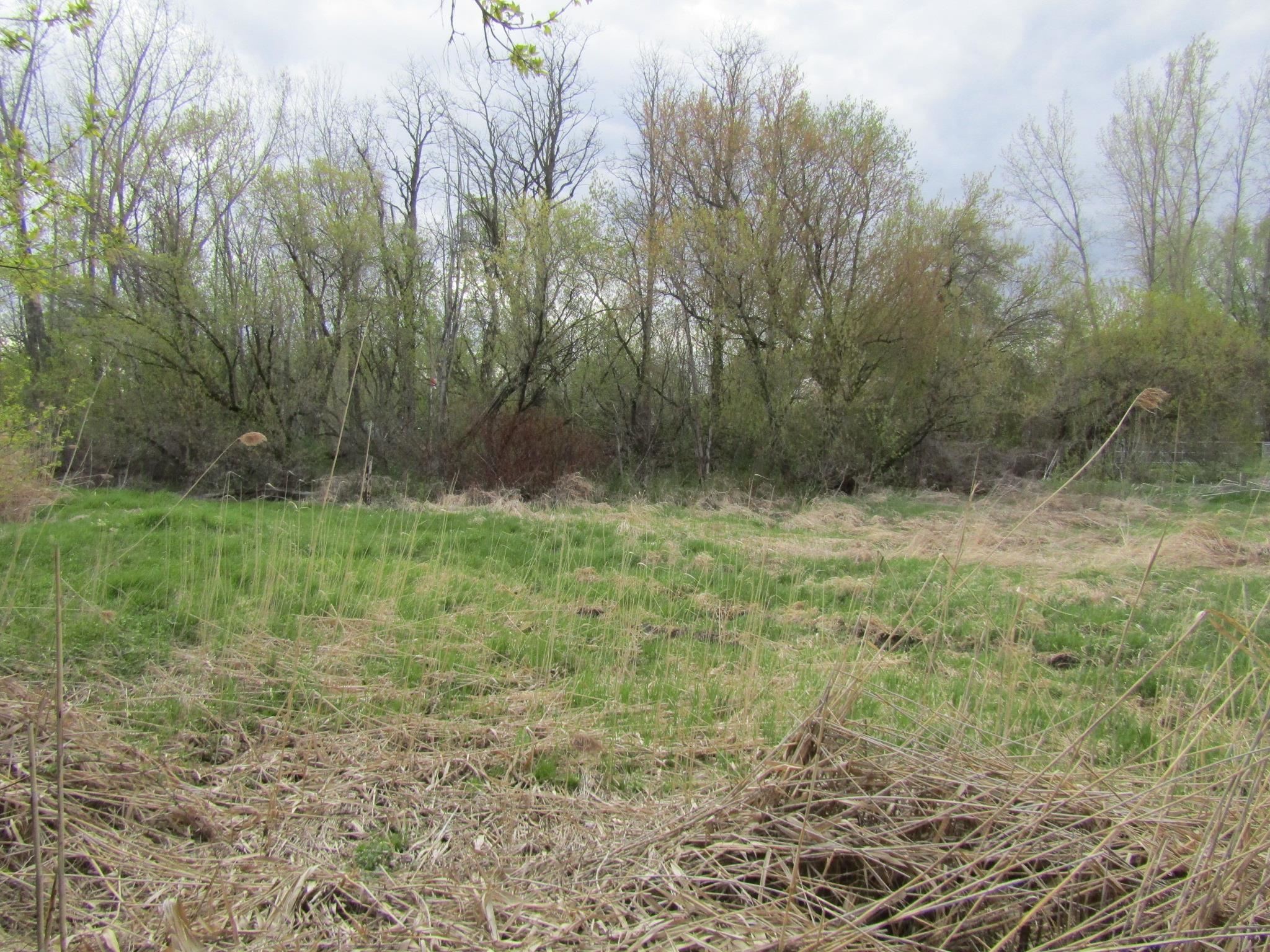 168 Border Road