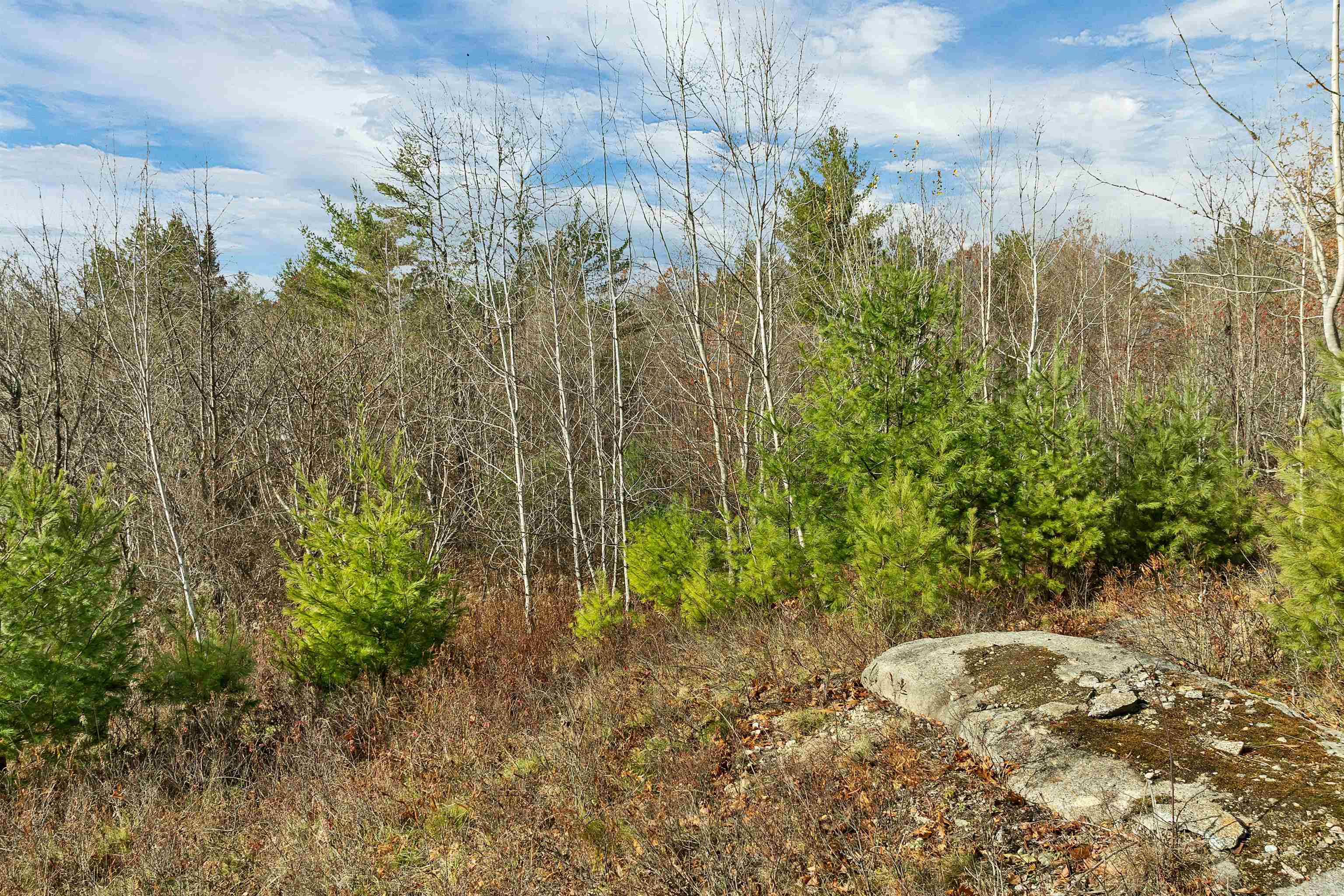 7 Lady Slipper Ln, Moultonborough, NH 03254