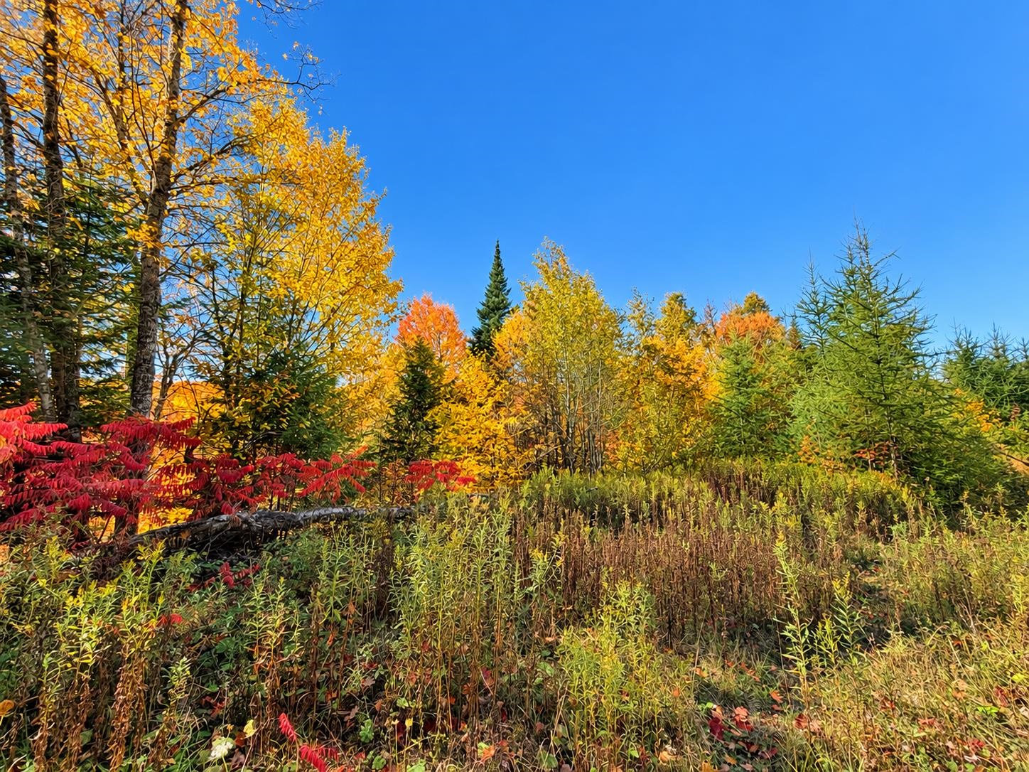 Photo 3 of Land for sale at 00 Lost Nation Rd, East Haven, VT 05837 | MLS# 5089091 | Listing updated on 2026-10-05