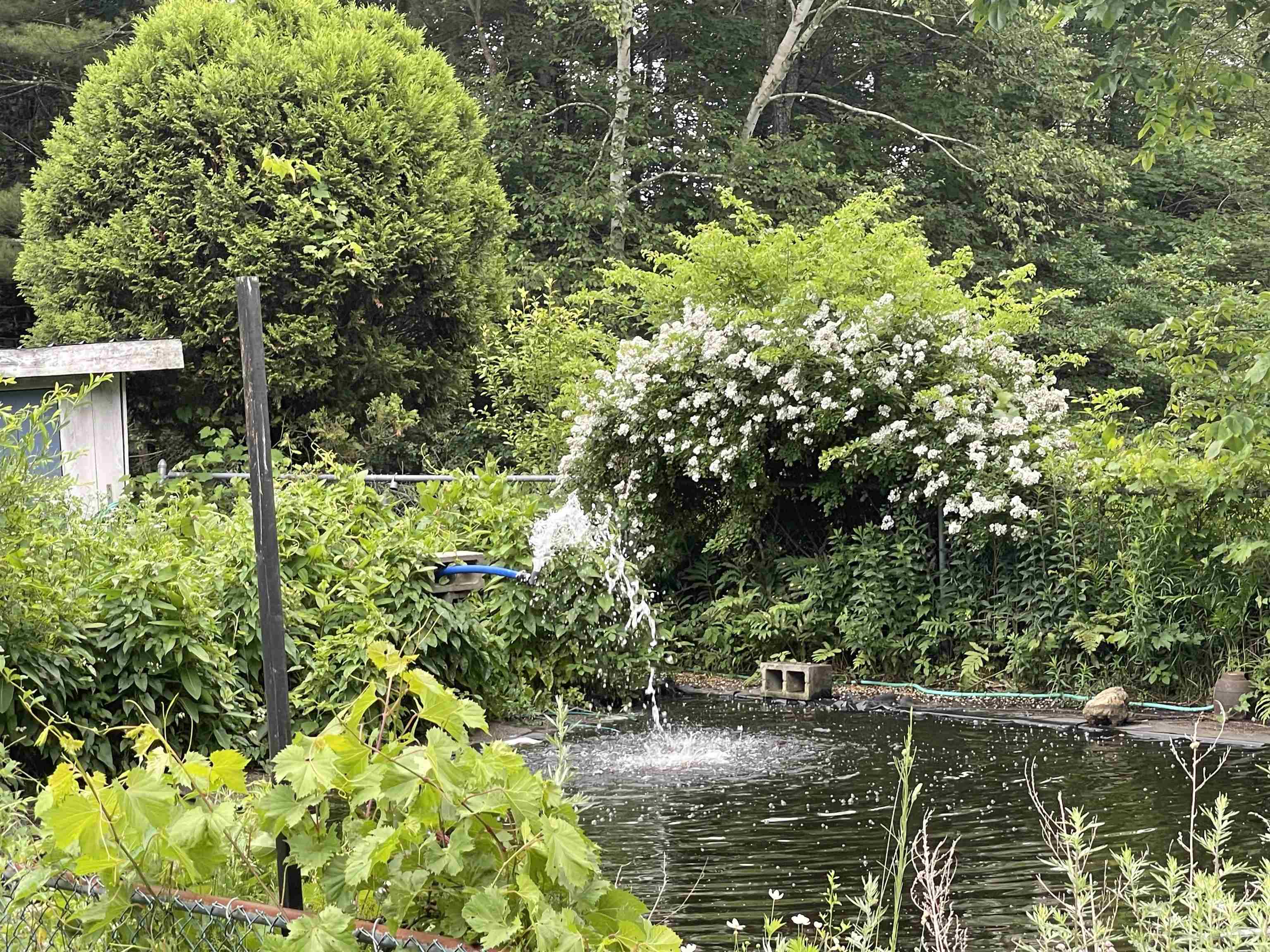 Property photo 48
