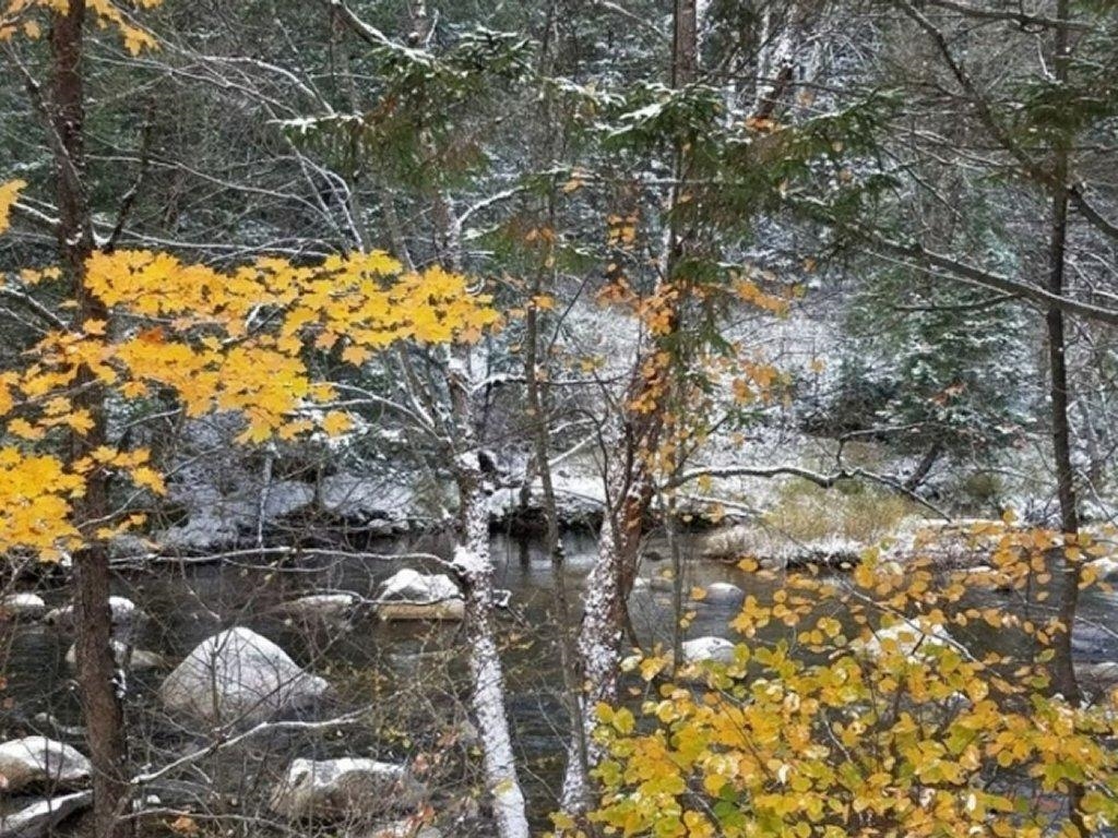5 Wing Rd, Bethlehem, NH 03574