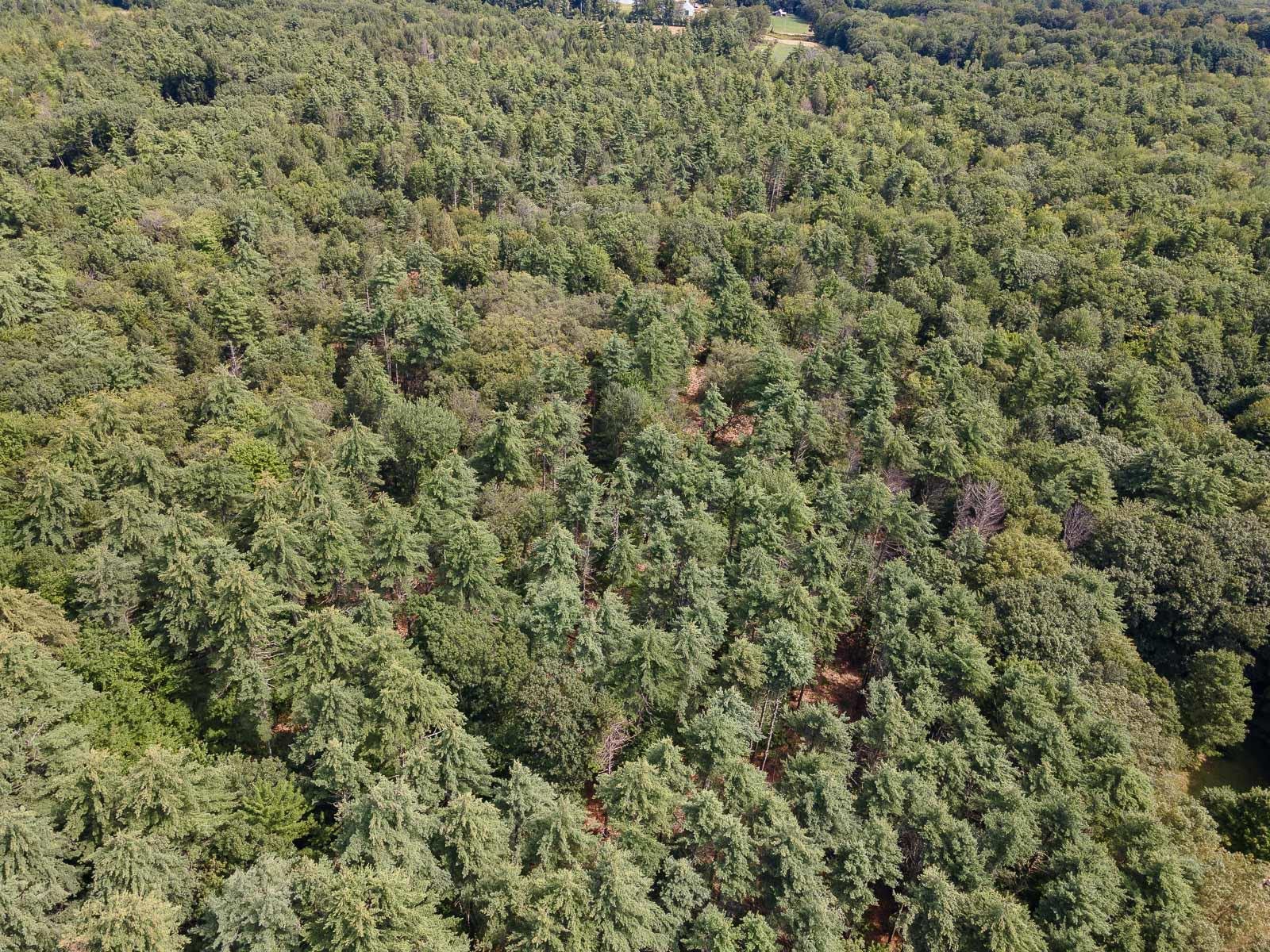 TBD Second Crown Point Rd, Strafford, NH 03884