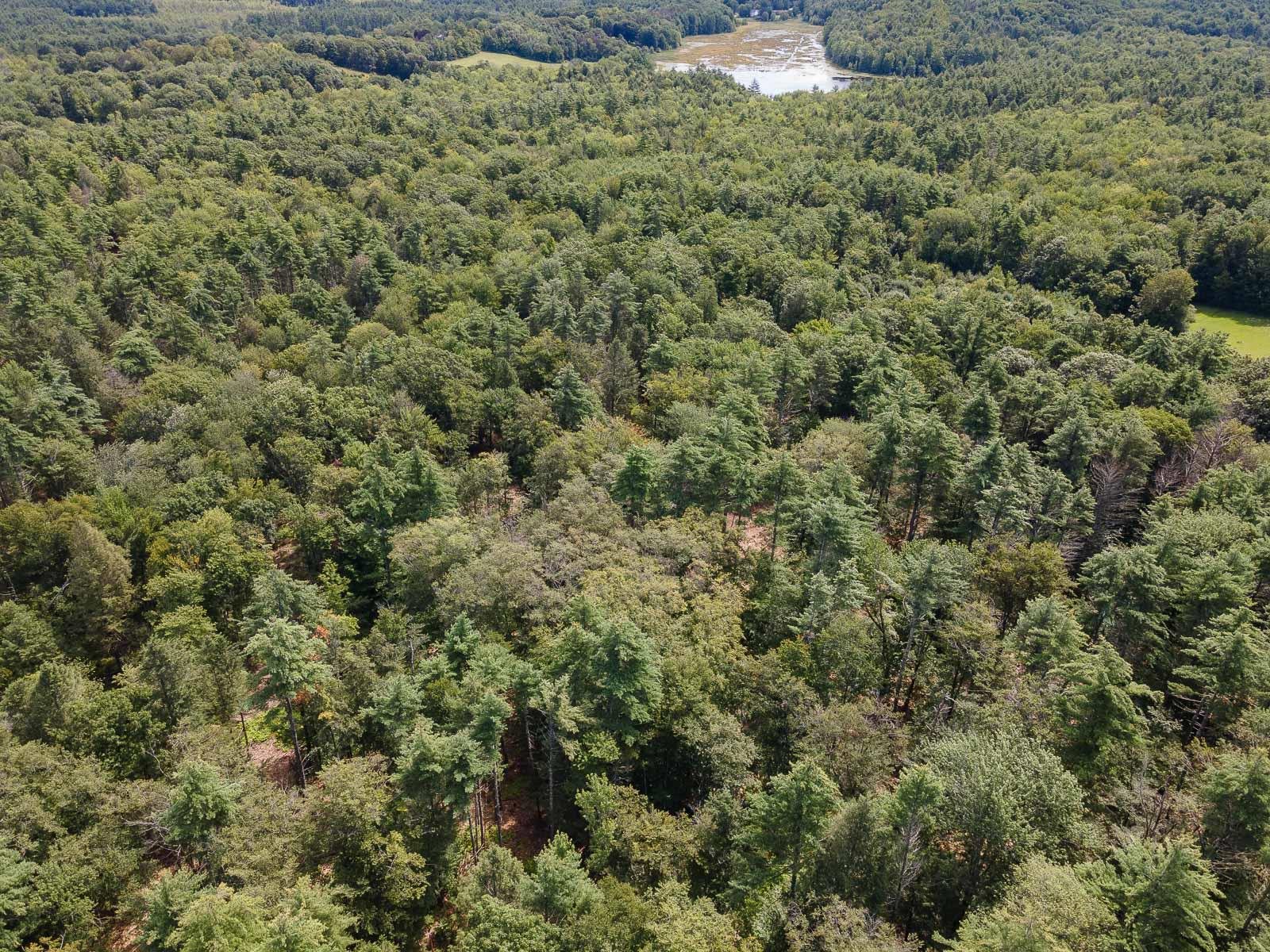 TBD Second Crown Point Rd, Strafford, NH 03884