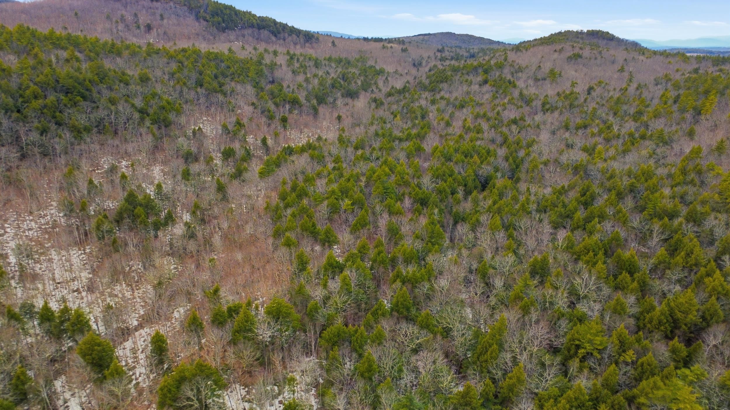 101-15 North Shore Rd, New Durham, NH 03855