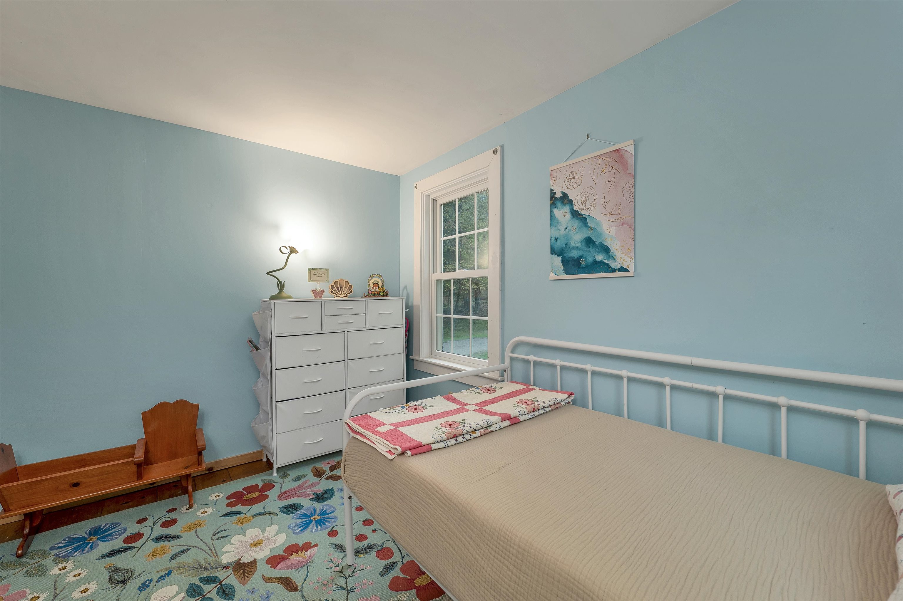 119 Gerrish Rd, Webster, NH 03303-7828