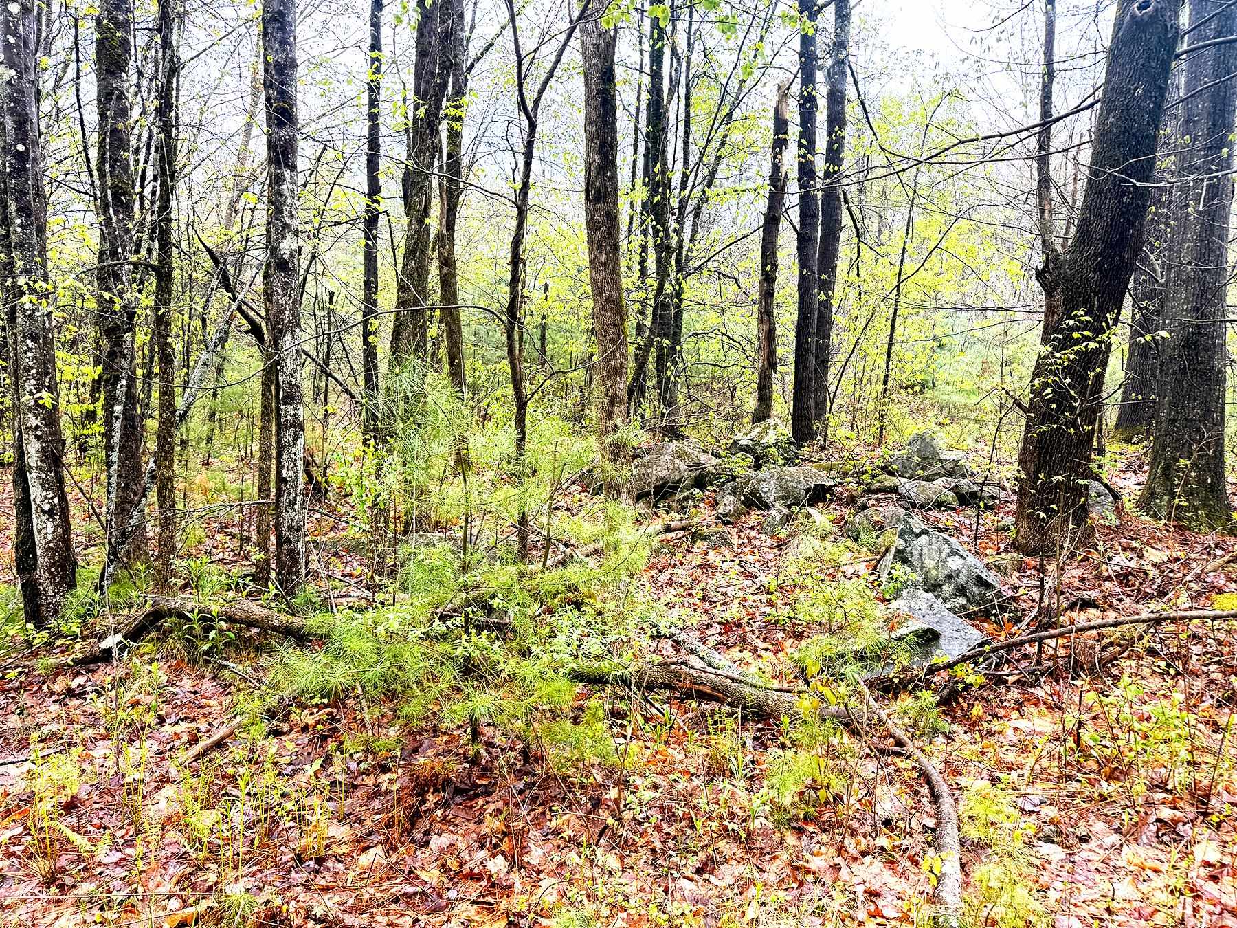 547 White Oaks Rd, Laconia, NH 03246