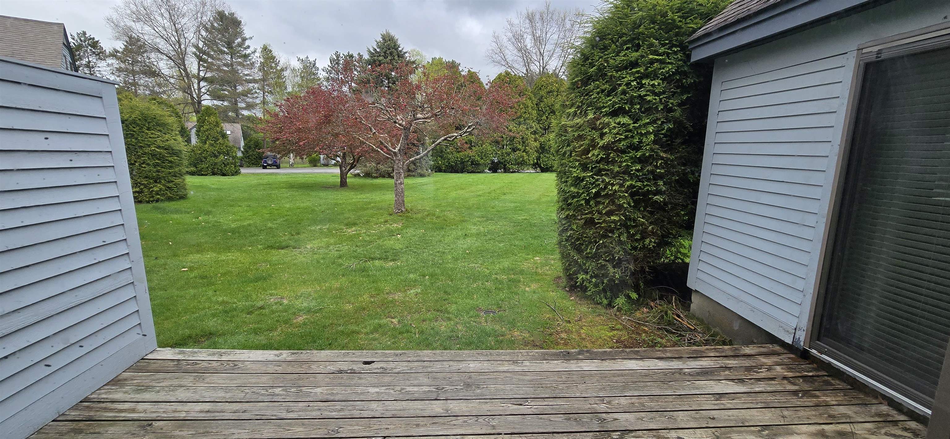  25280623