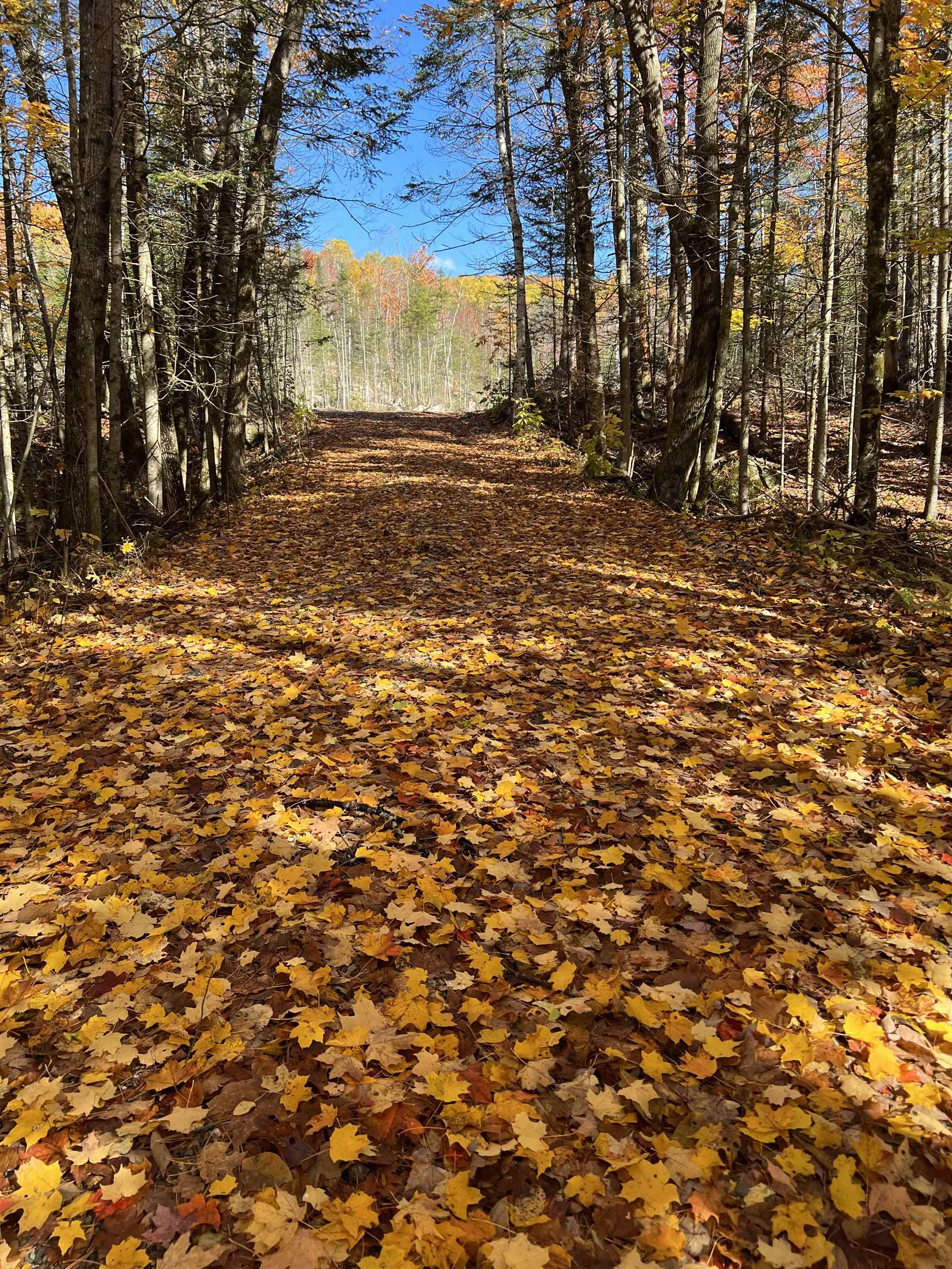 00 Route 3 North, Carroll, NH 03595