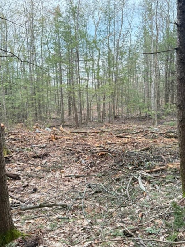 B-19-1 Wilton Rd, Mason, NH 03048