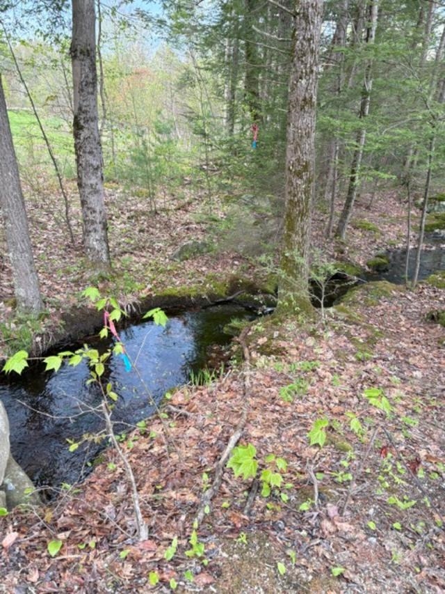 B-19-1 Wilton Rd, Mason, NH 03048