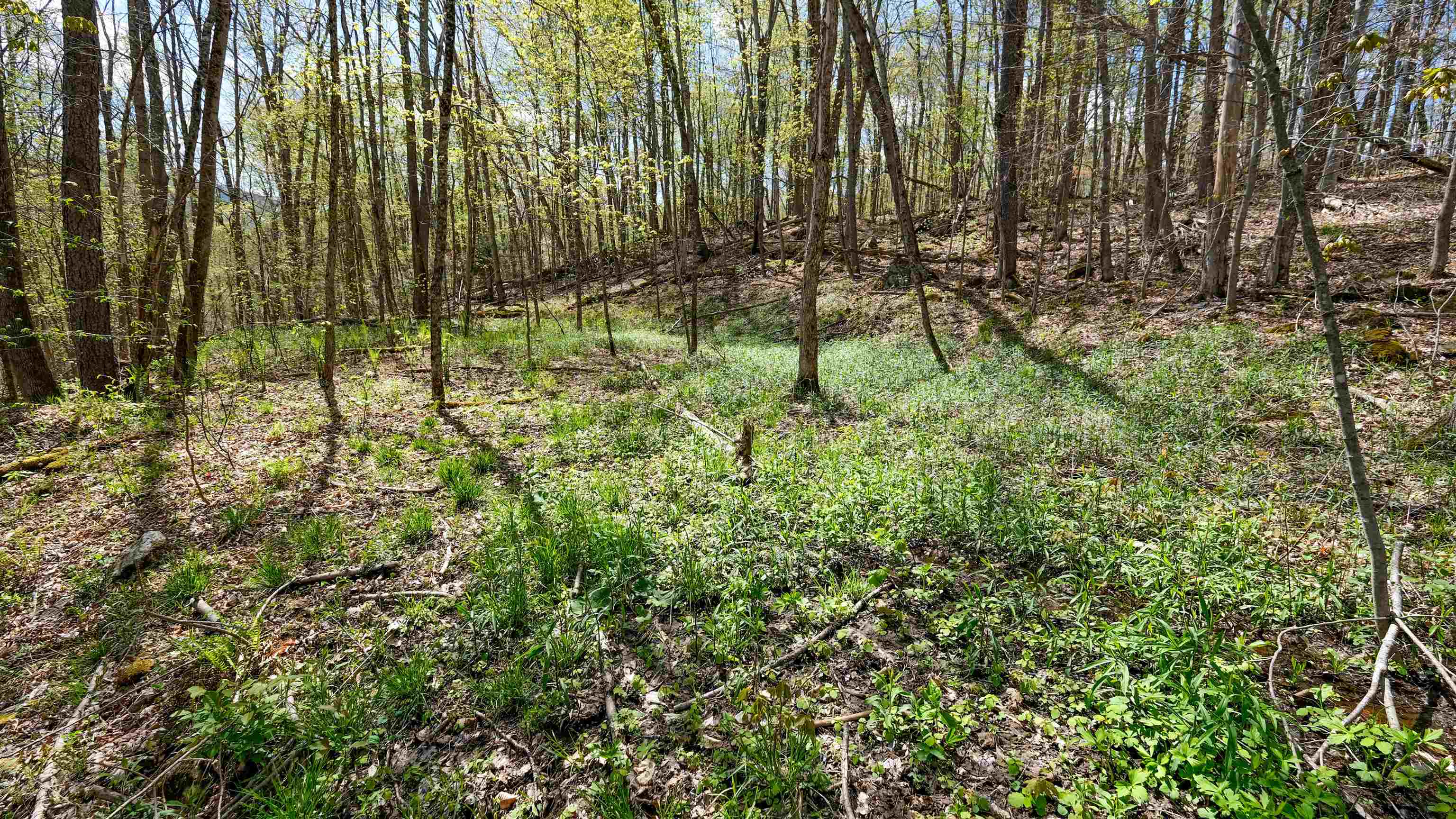Wallingford VT&nbsp;Land for sale $45,000 | 1.7 Acres  | Price Per Acre $0 