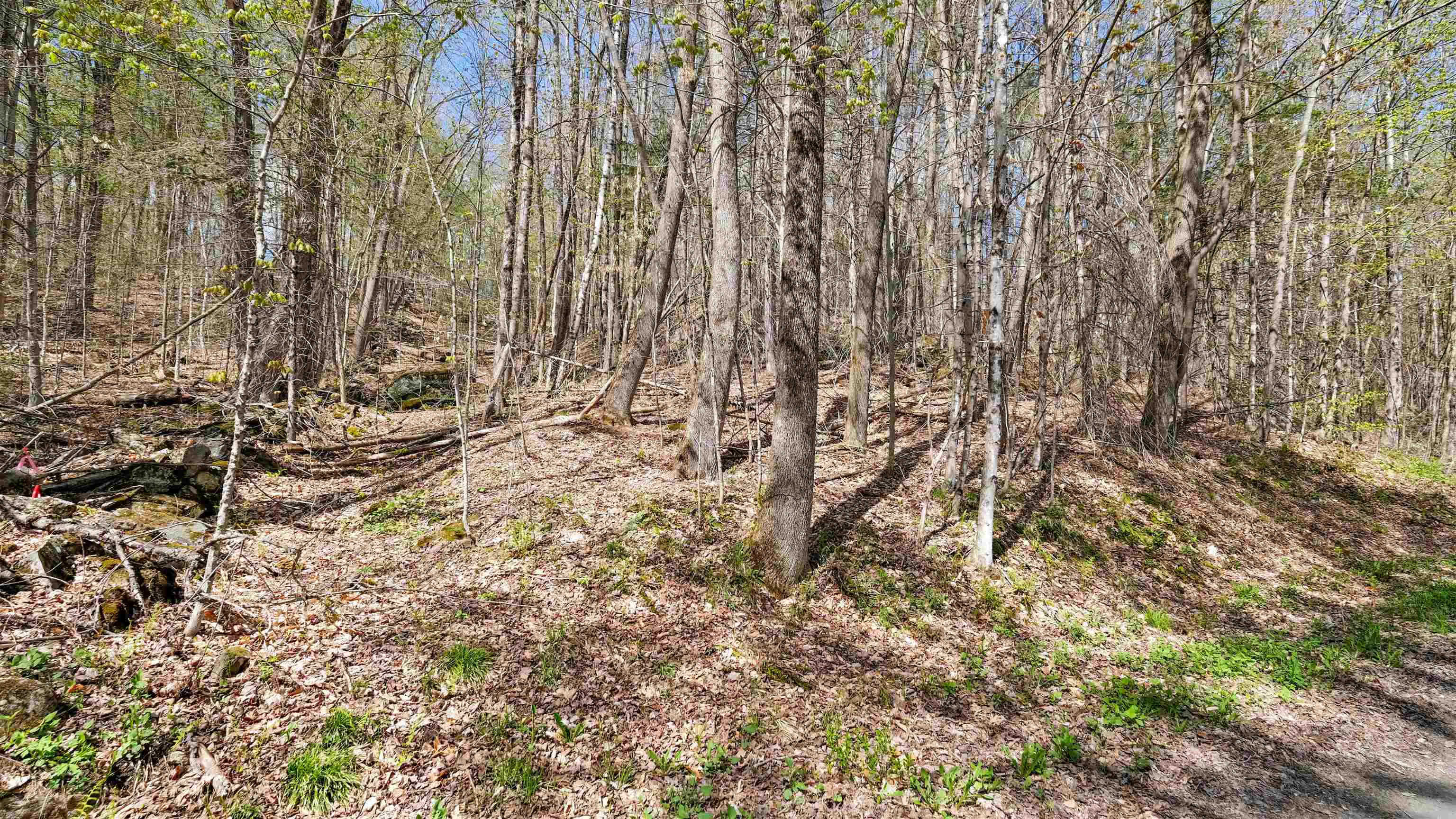 Lower stone wall off Autumns Heights road