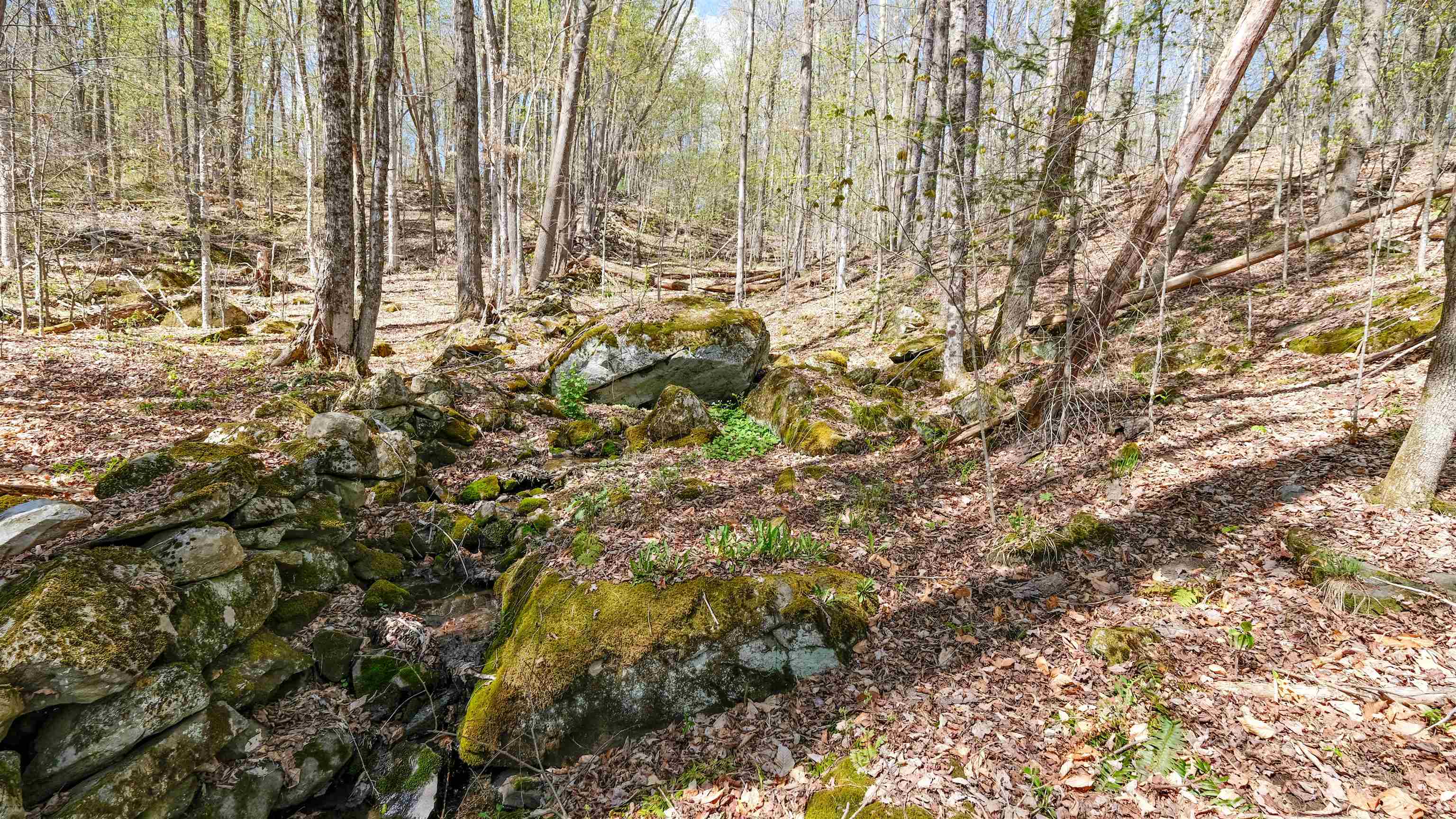 Lower stone walls