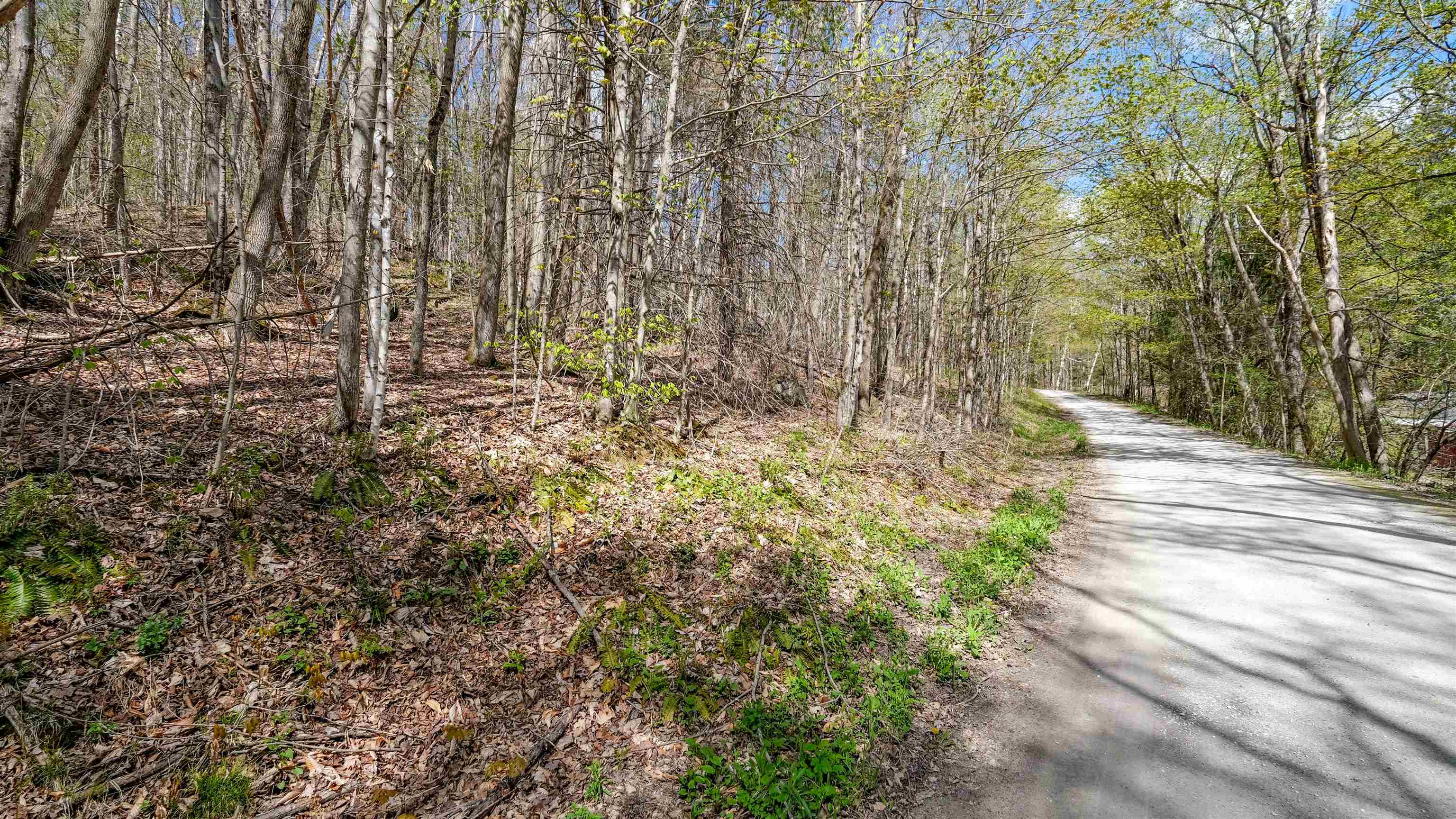 Road frontage looking up Hawkins Road