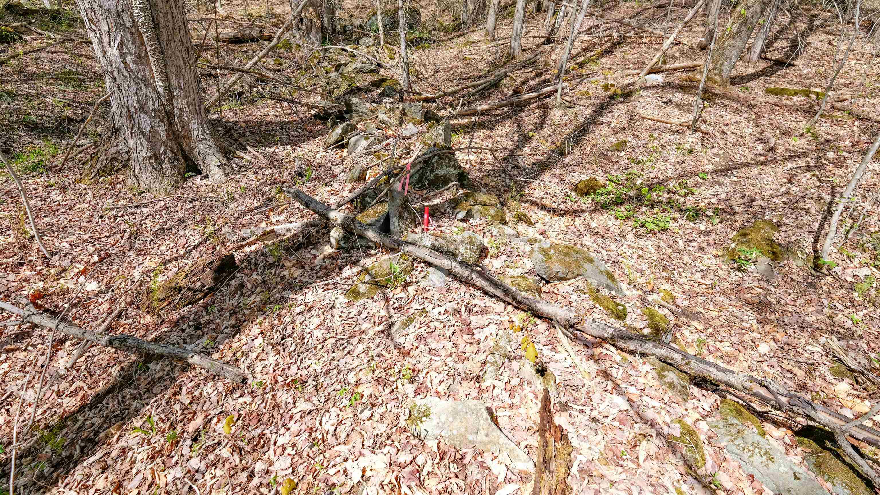Lower property boundry in wall