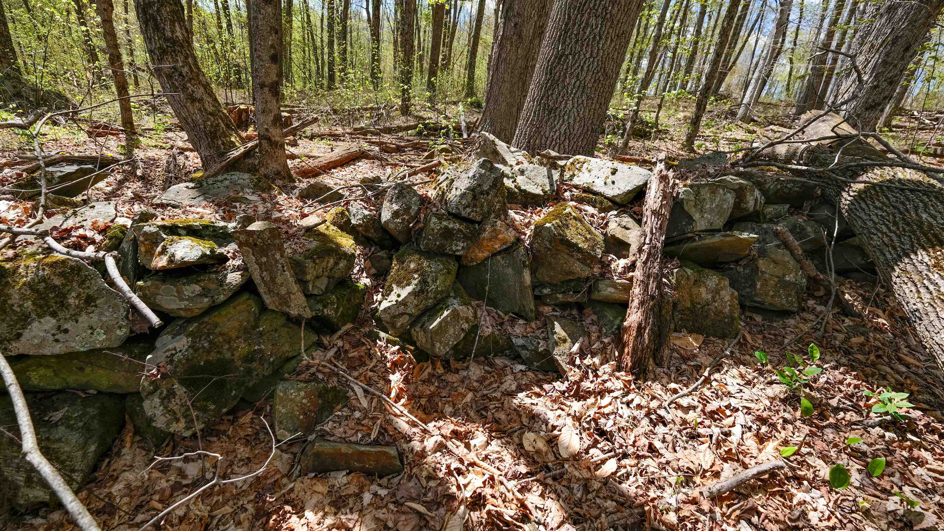 Vermont stone walls