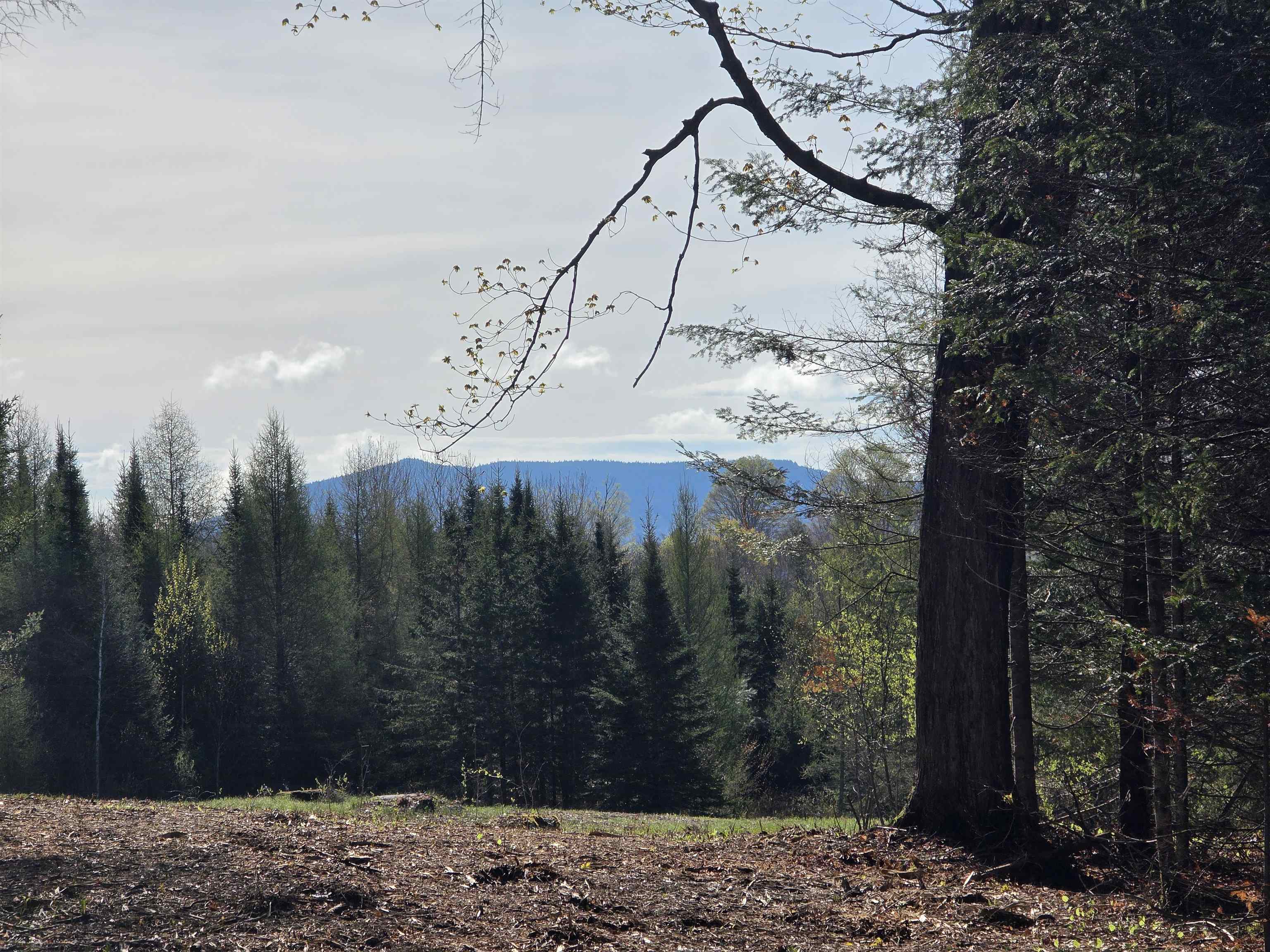 Lyndon VT&nbsp;Land for sale $120,000 | 5.58 Acres  | Price Per Acre $0  | Total Lots 2