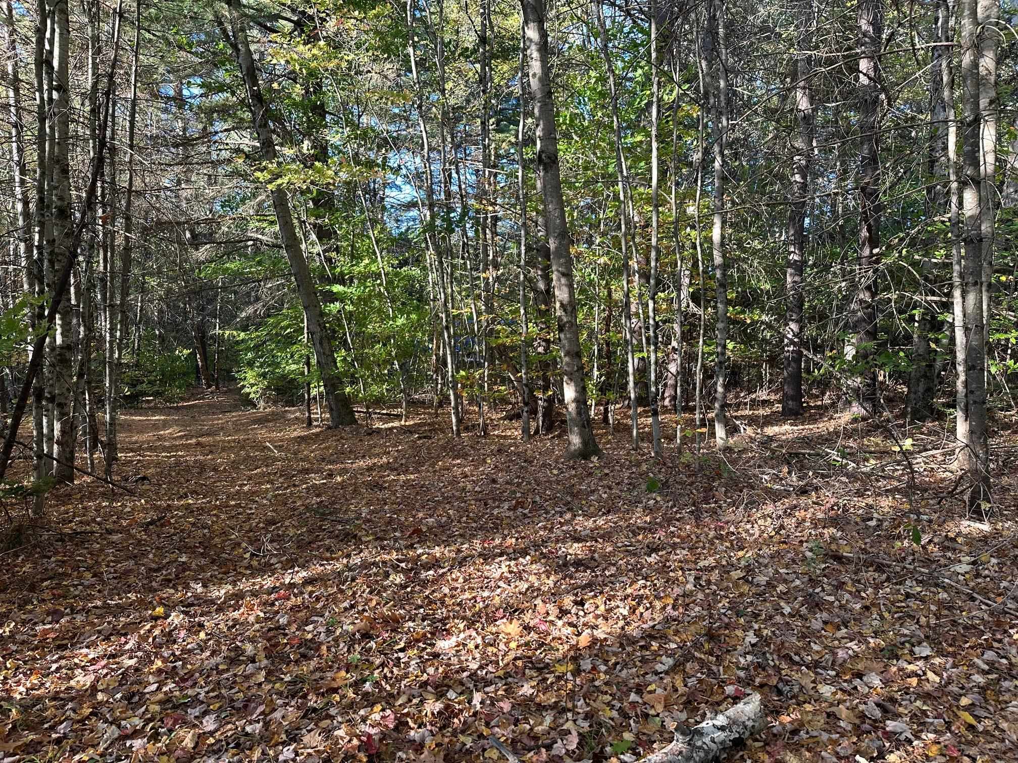 19 Sunrise Hill Rd, Thornton, NH 03285