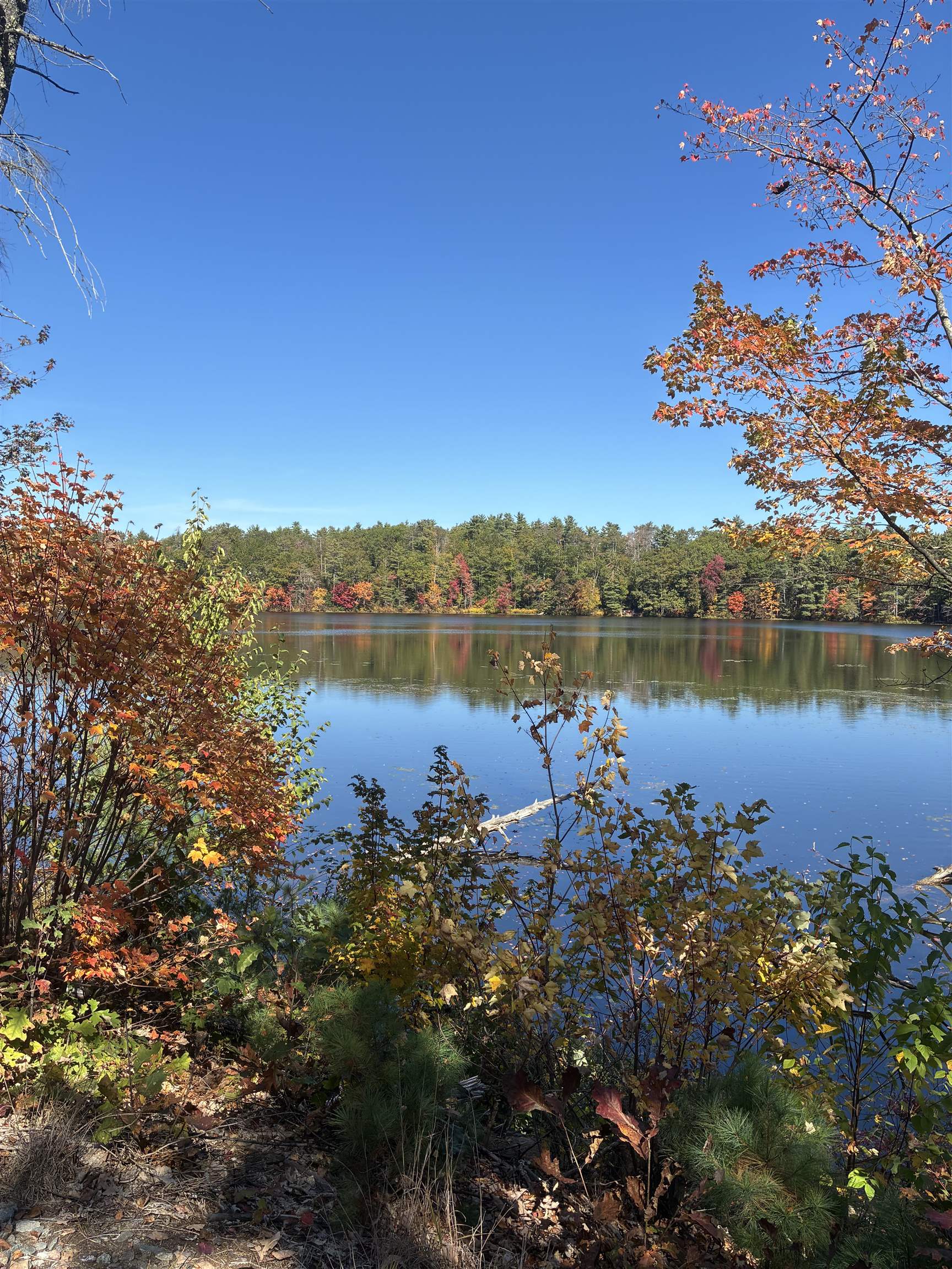 34 Icehouse Ln, Greenfield, NH 03047