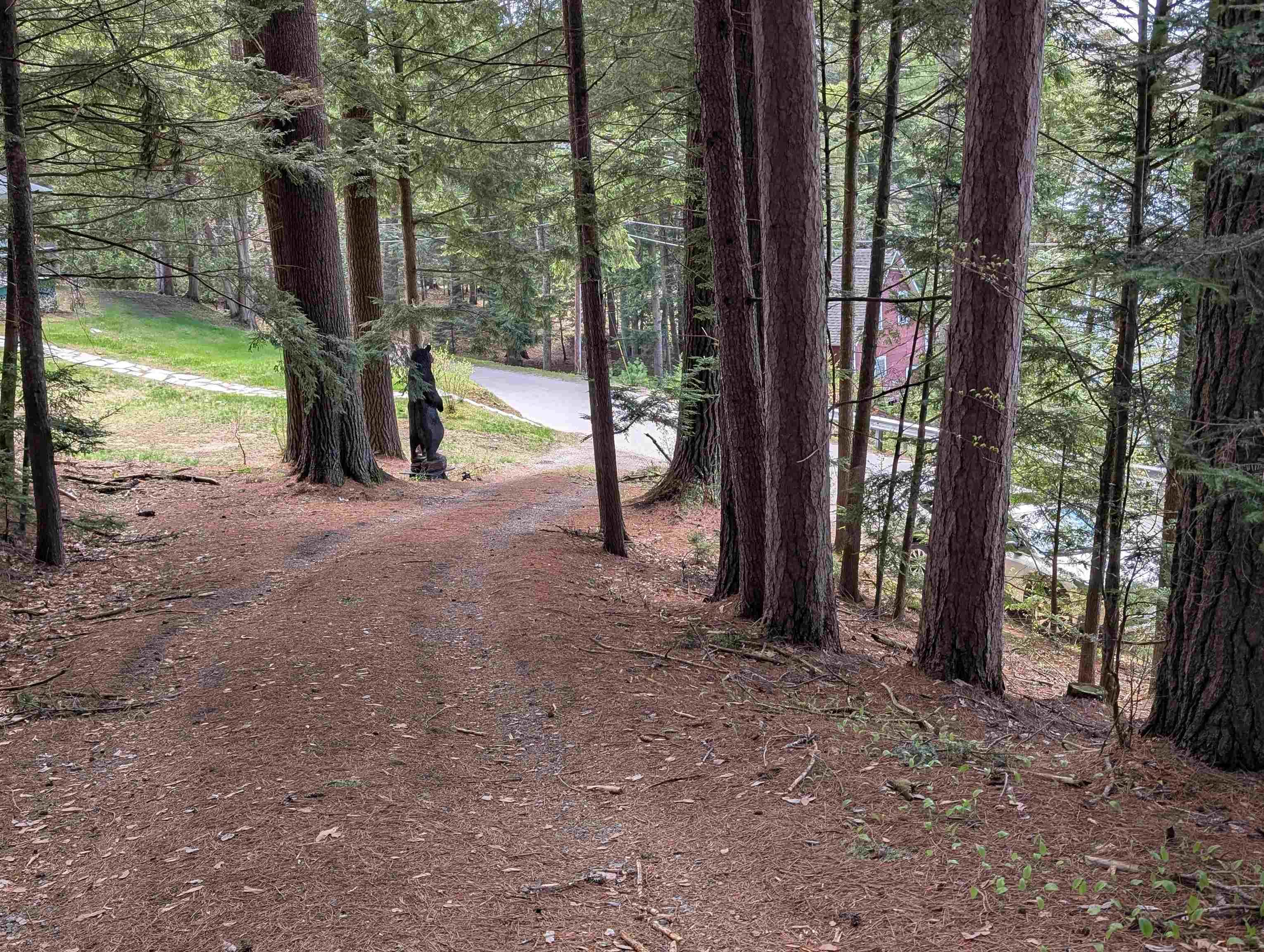 425 Partridge Lake Rd, Littleton, NH 03561