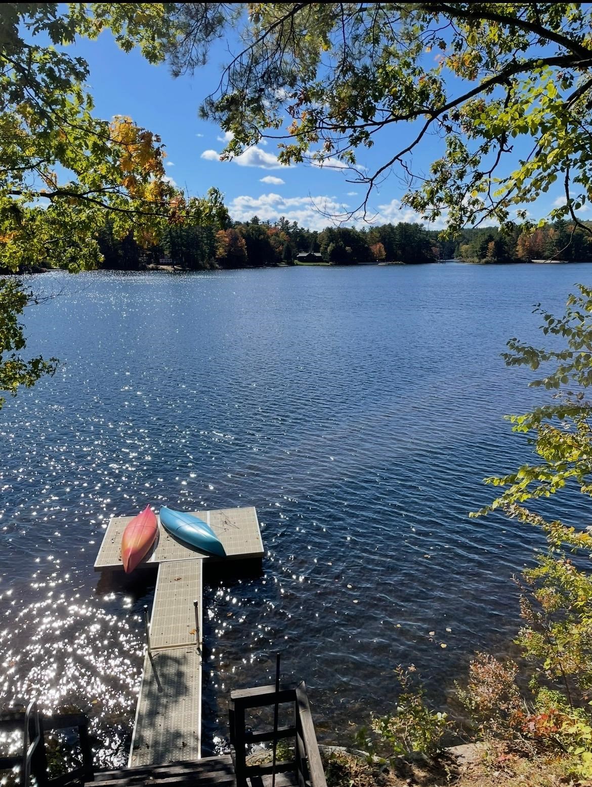 27 Hummingbird Ln, Hillsborough, NH 03244