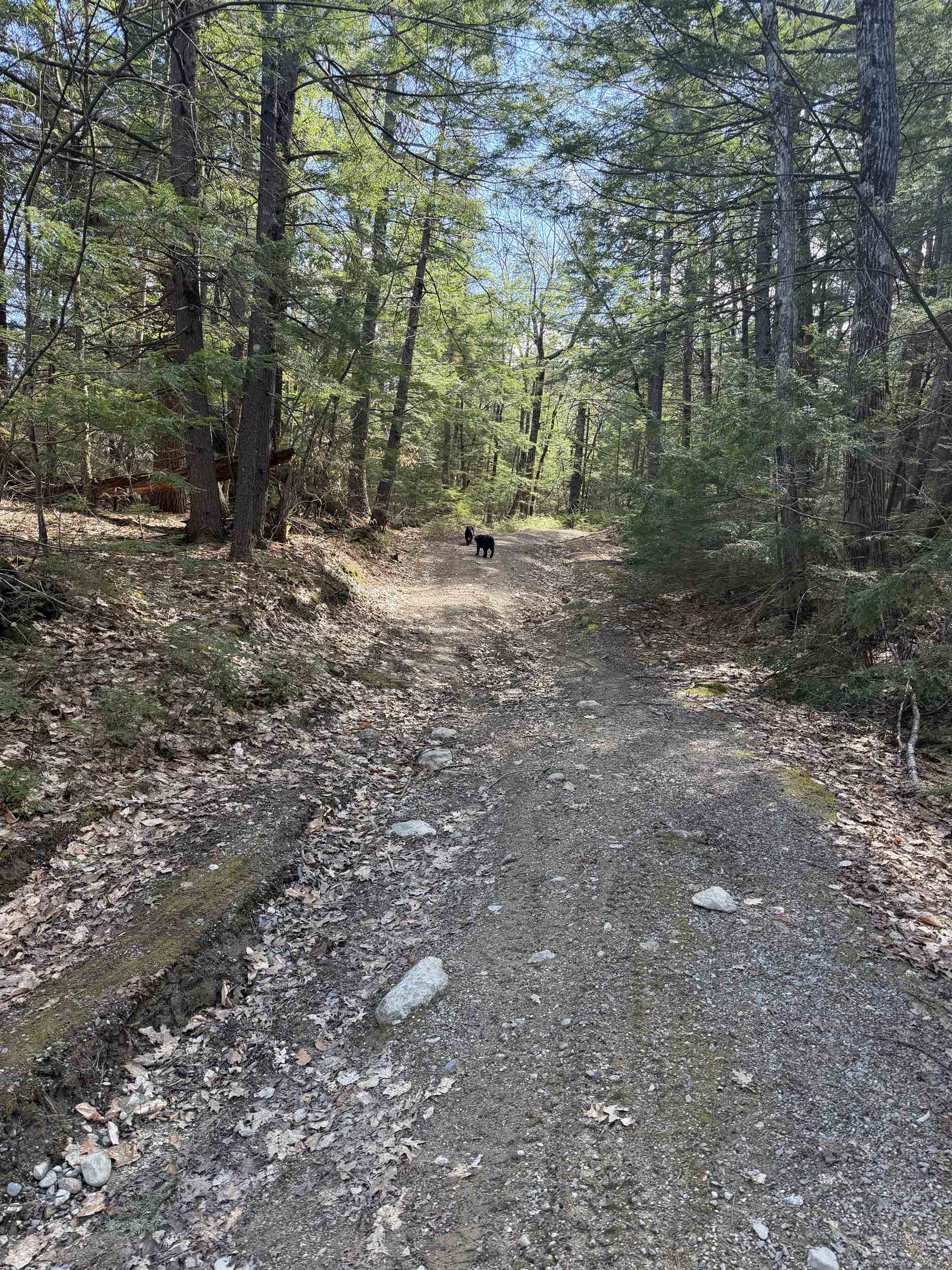 R29L9 Roxbury , Meredith, NH 03253