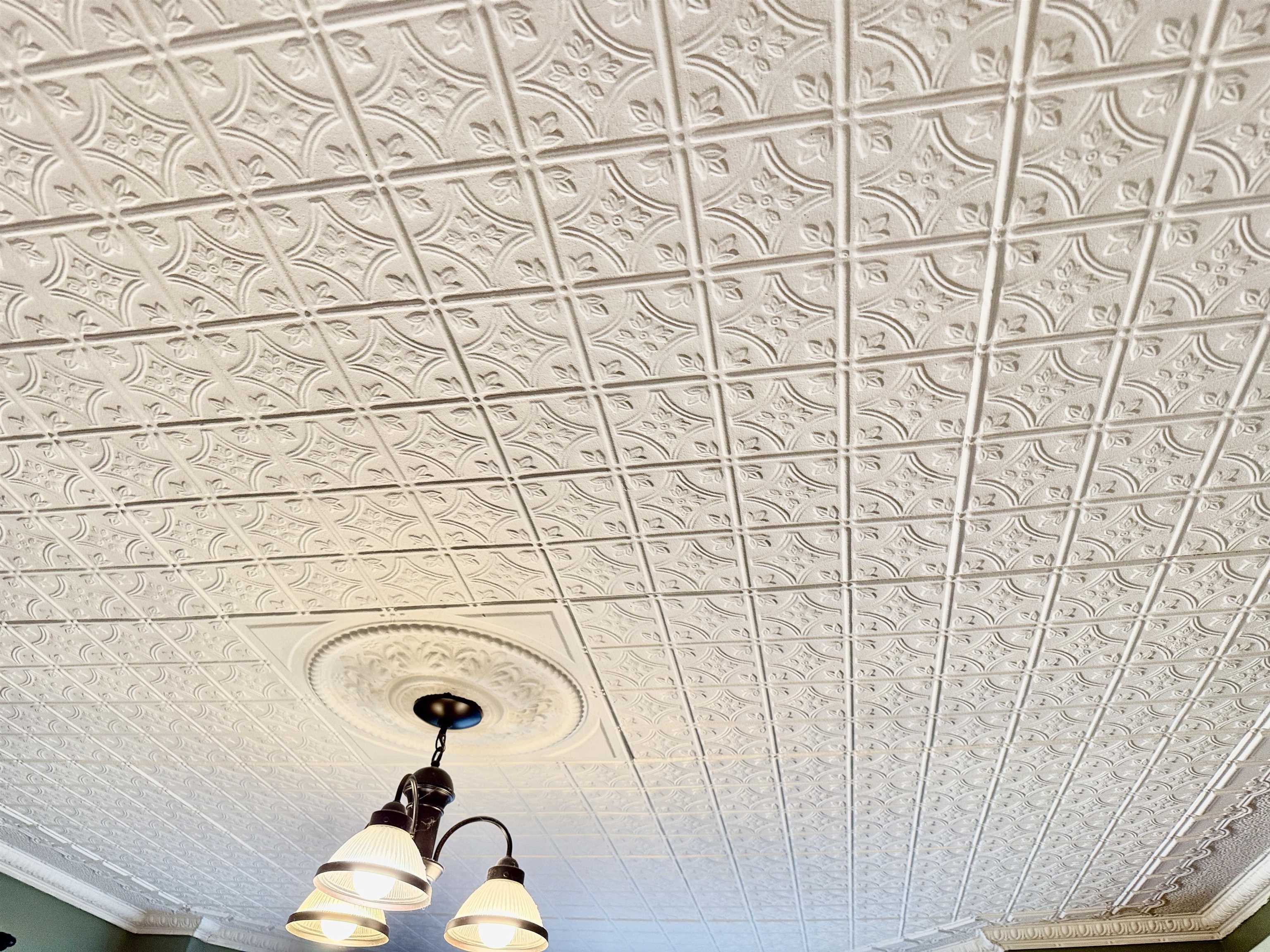 Tin ceilings 25289670