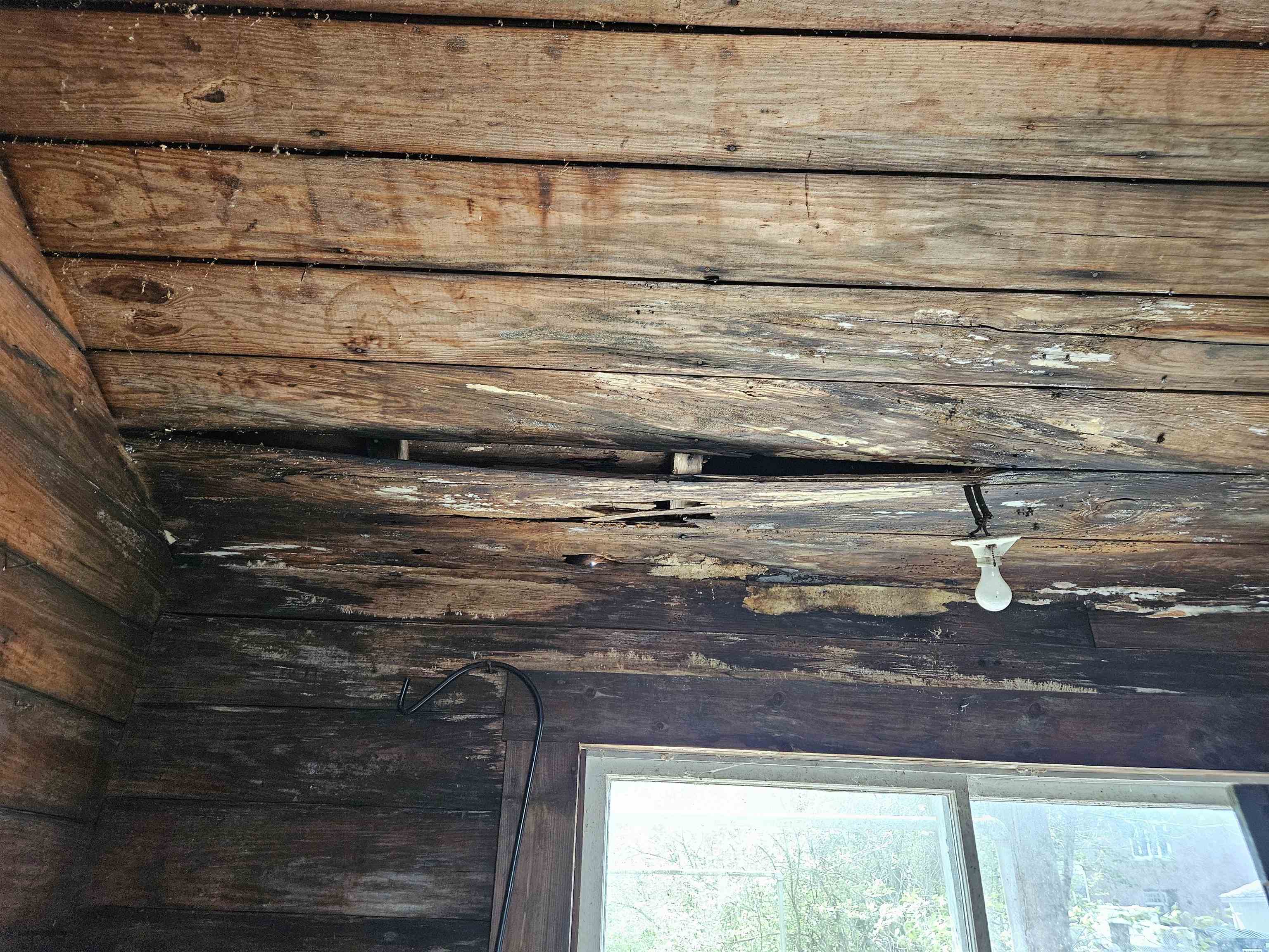 Garage needs a new roof 25184475