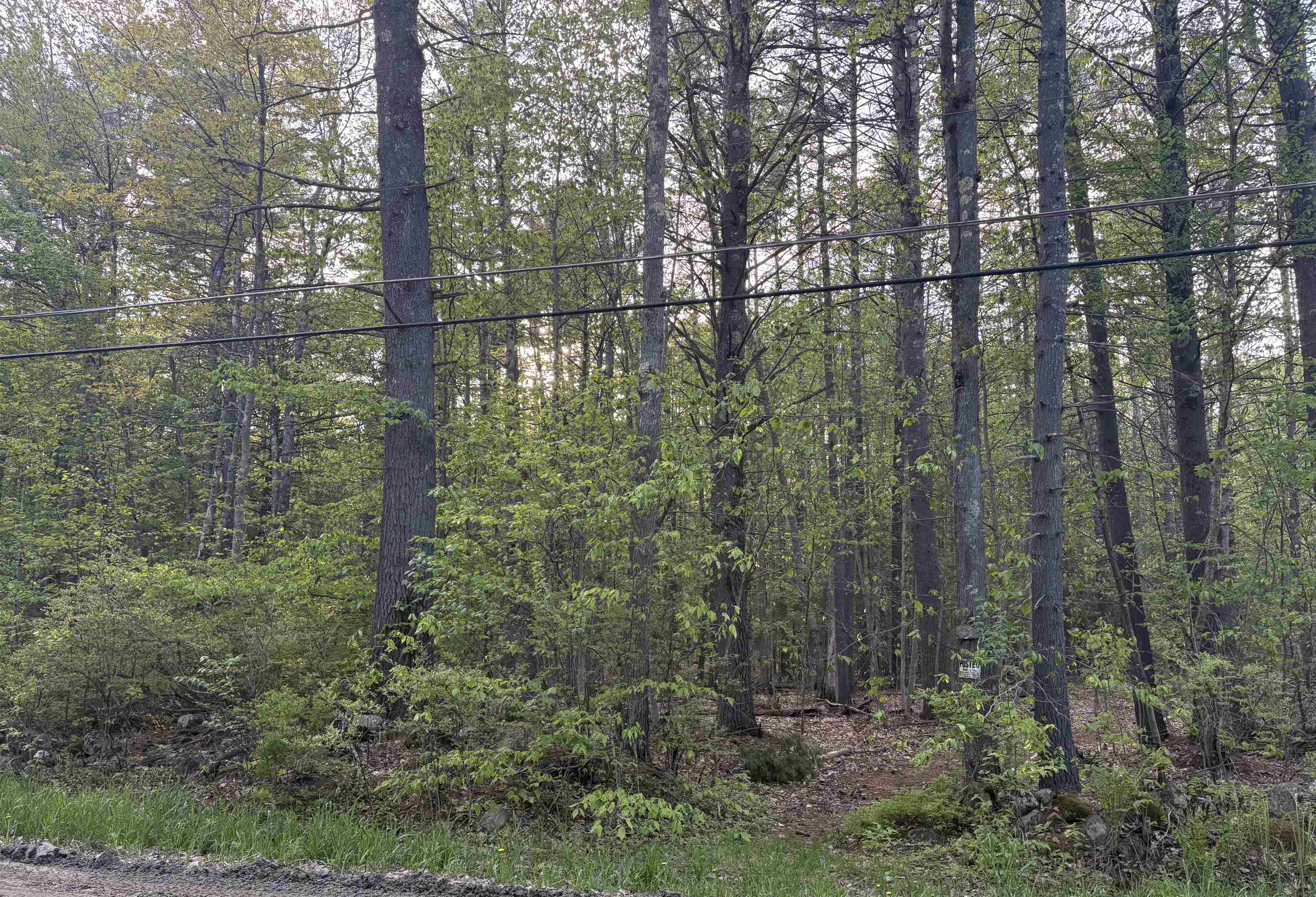 Lot 80 Currier Rd, Candia, NH 03034