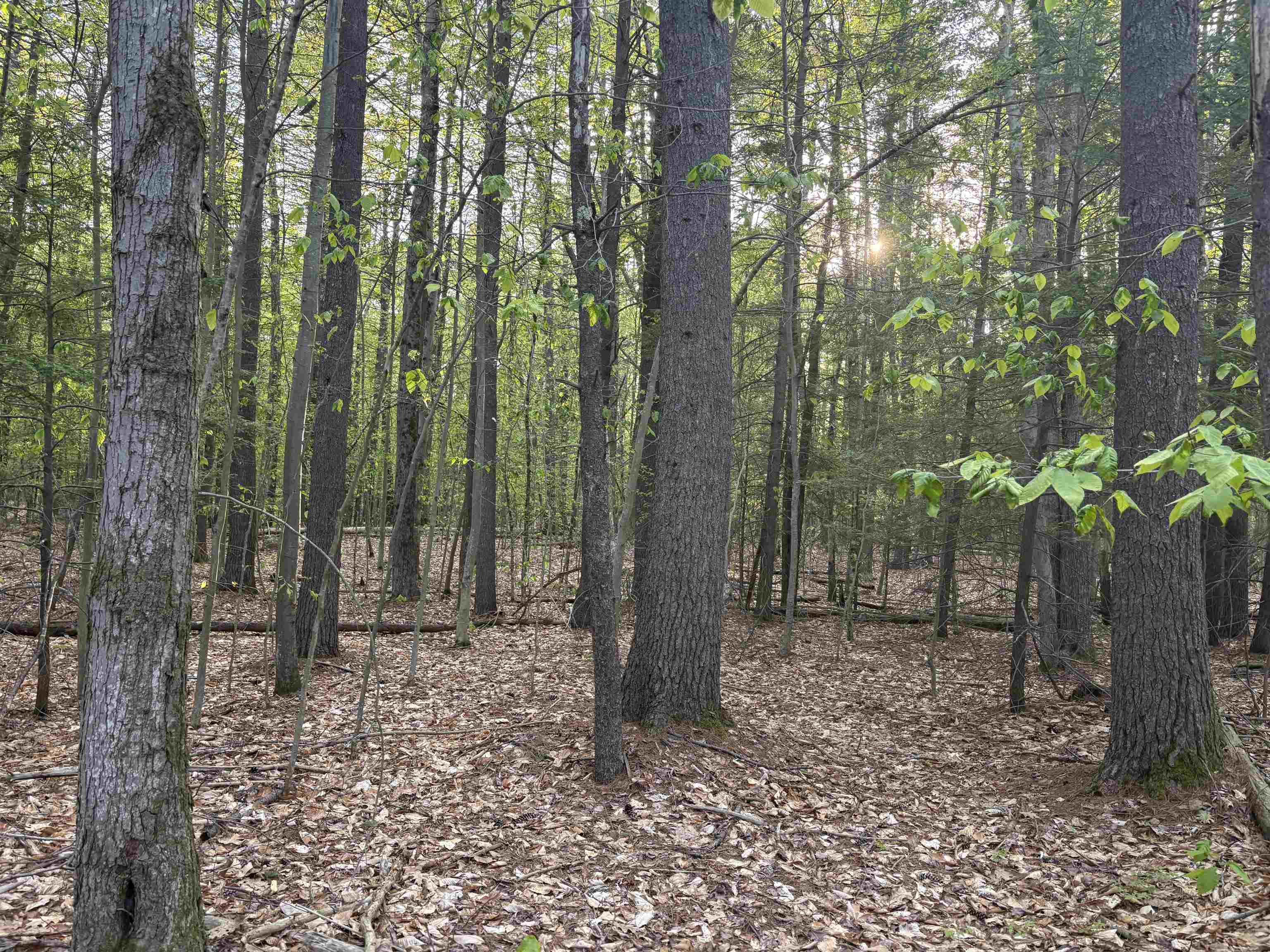Lot 80 Currier Rd, Candia, NH 03034