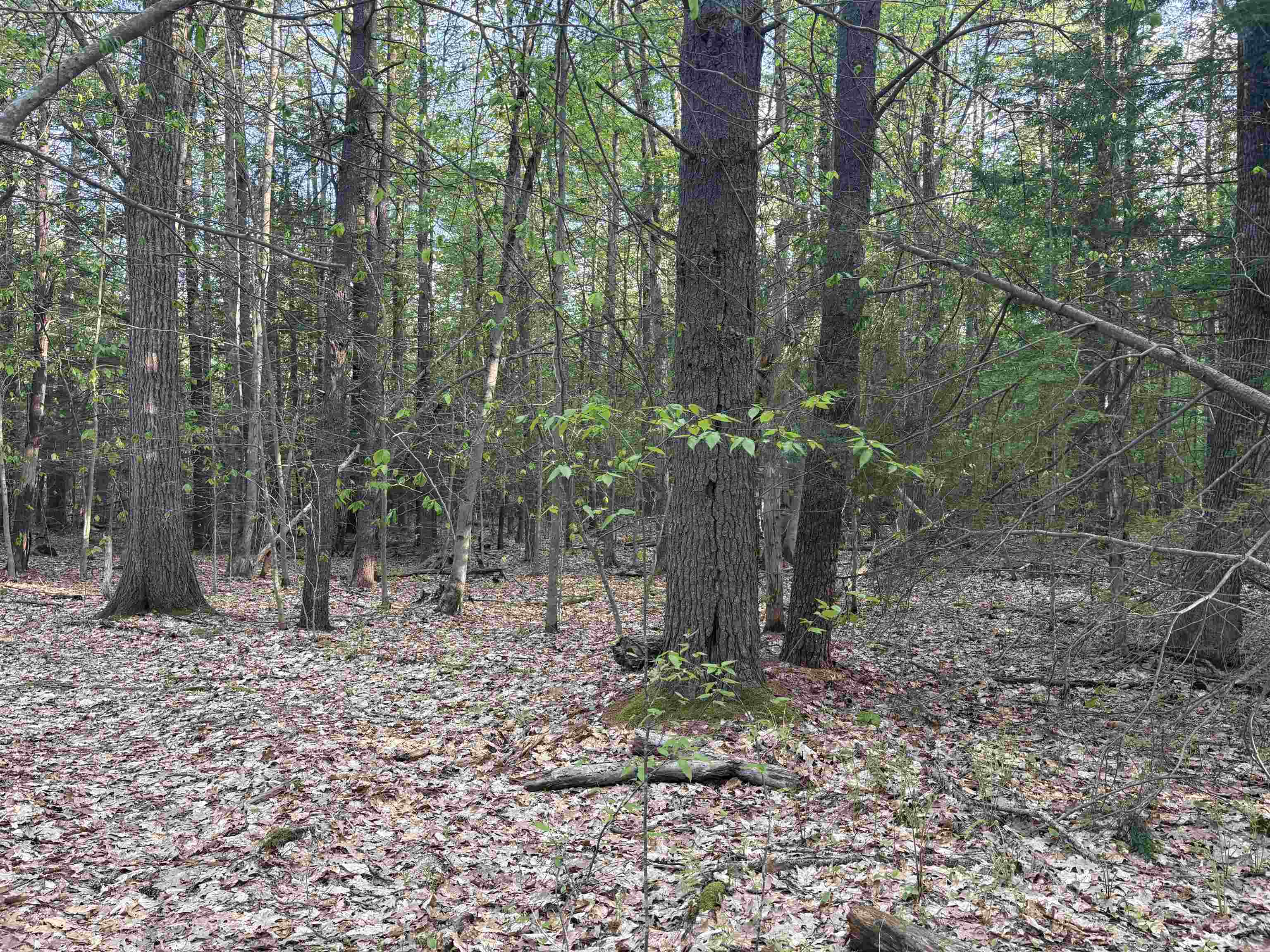 Lot 80 Currier Rd, Candia, NH 03034